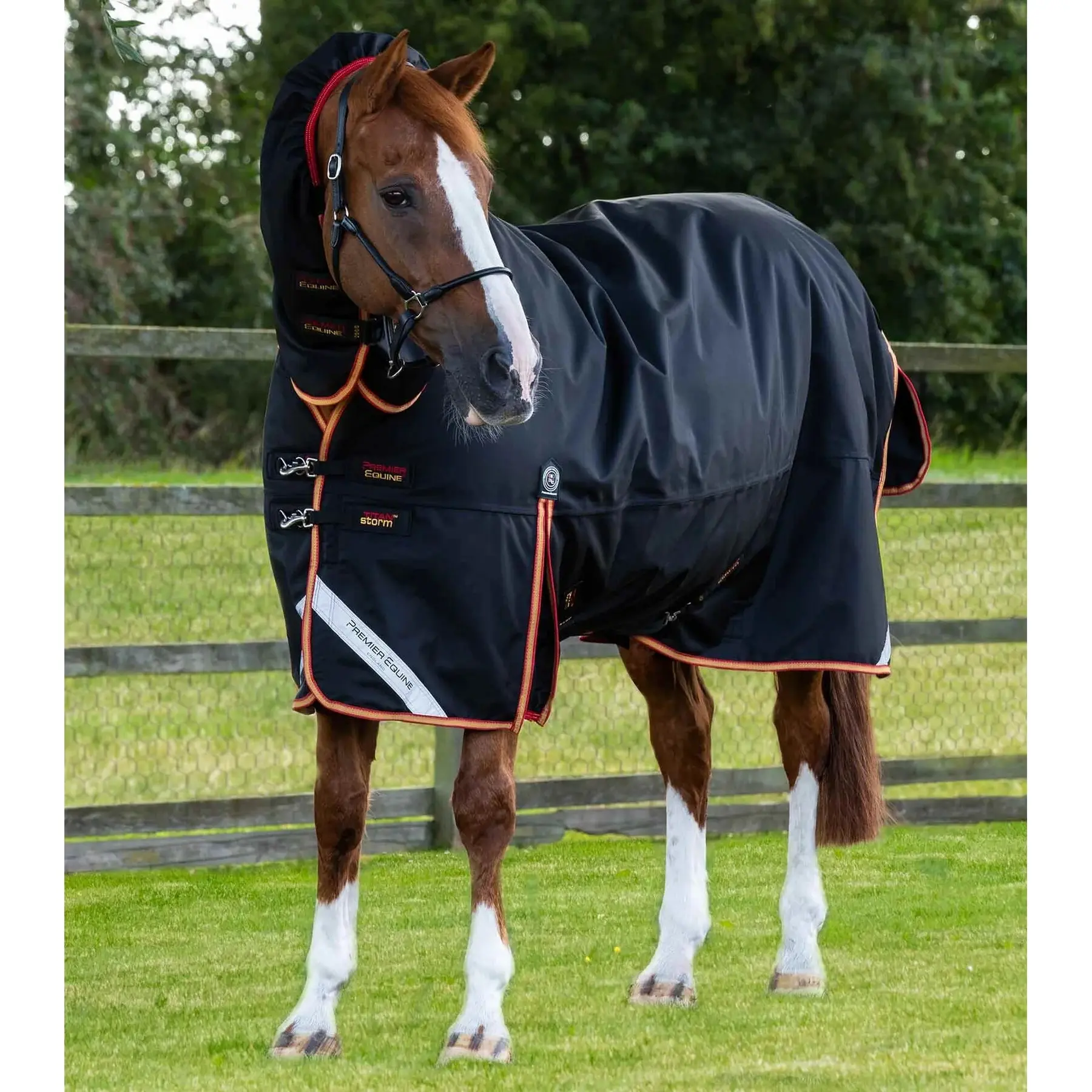 Outdoor horse blanket with neck cover Premier Equine Titan Storm 450 g