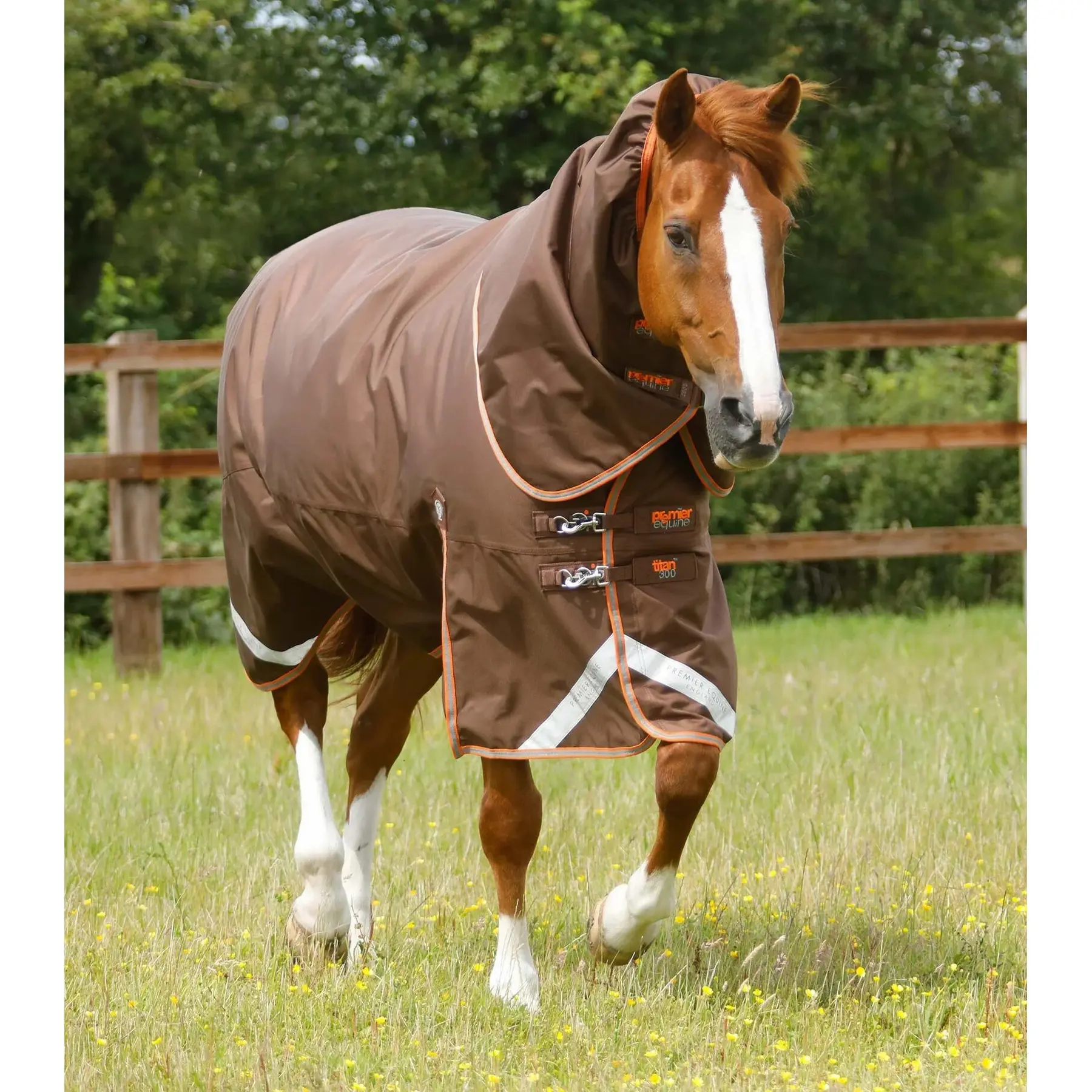 Outdoor horse blanket with neck cover Premier Equine Titan 300 g