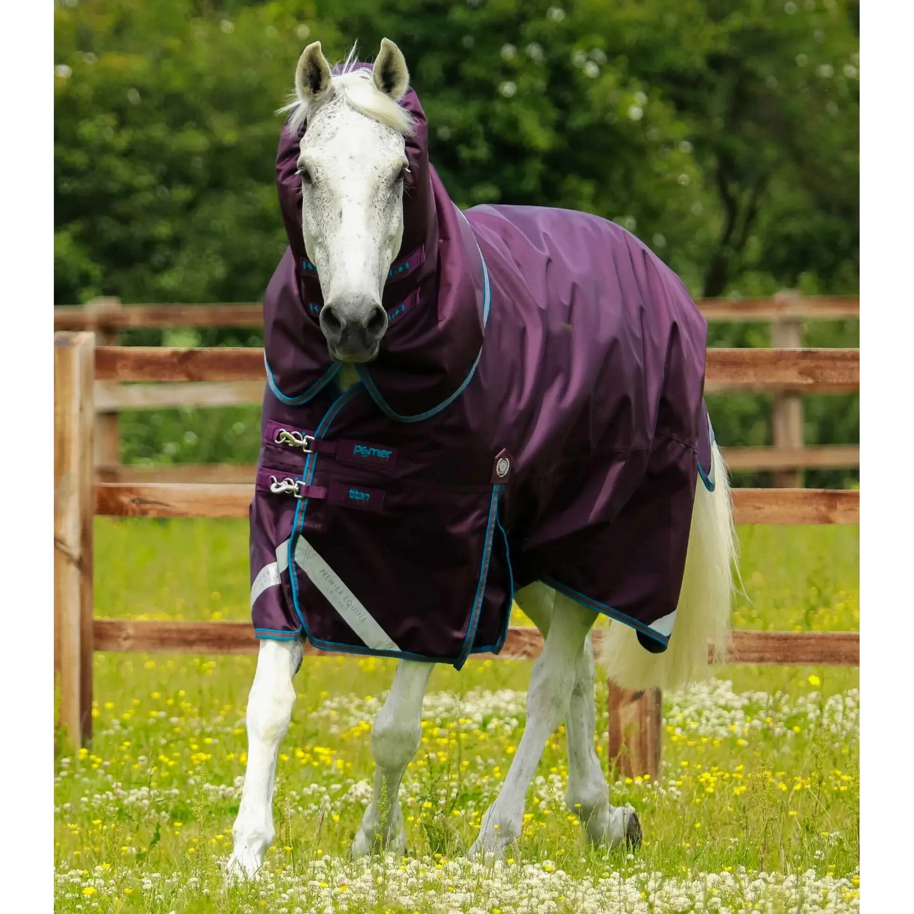 Outdoor horse blanket with neck cover Premier Equine Titan 200 g