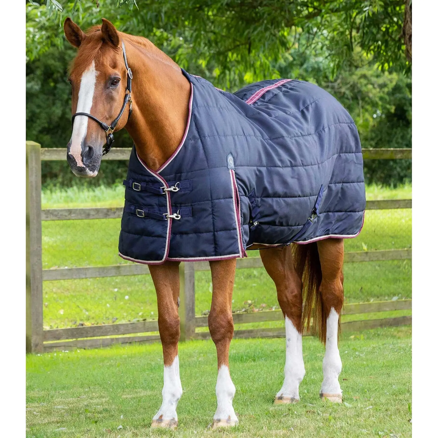 Couverture d'écurie pour cheval Premier Equine Garissa 100 g