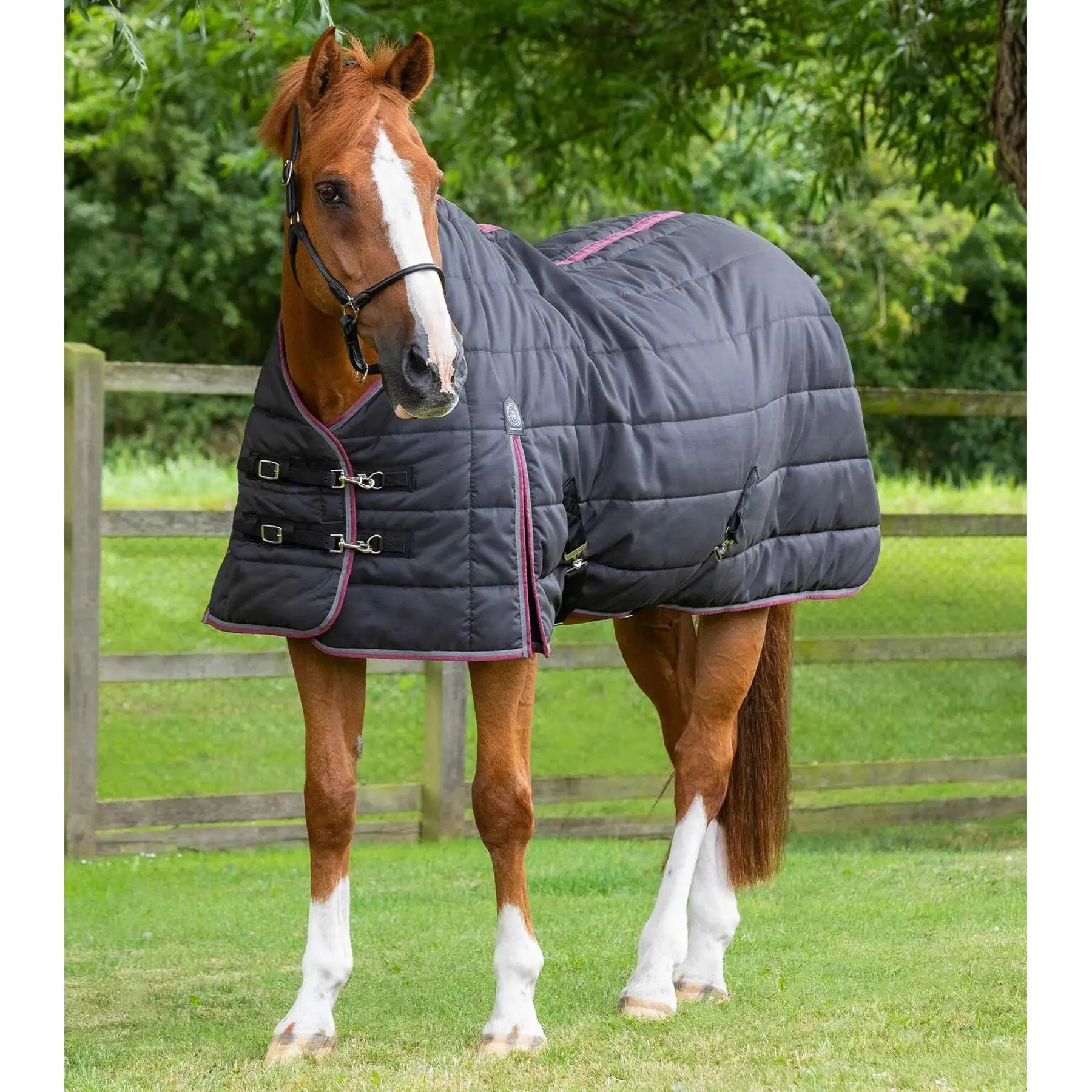 Stable Blanket Premier Equine Garissa 200 g