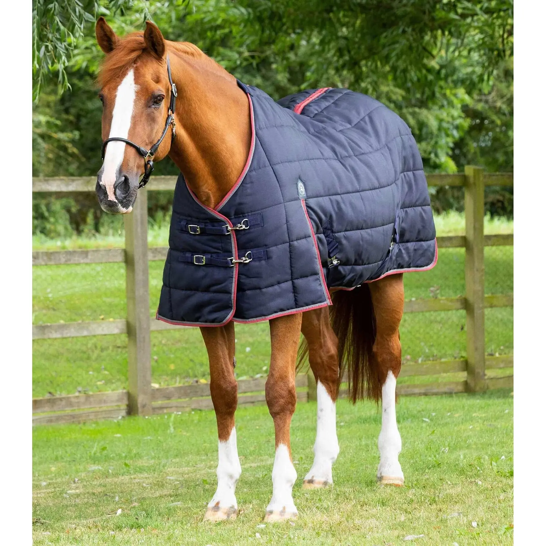 Stable Blanket  Premier Equine Garissa 200 g