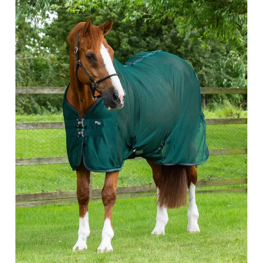 Coperta asciugante a rete per cavalli Premier Equine Ventoso