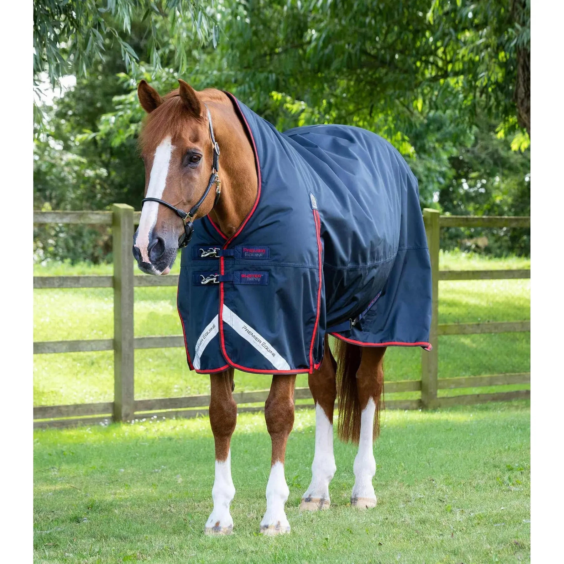 Waterproof outdoor horse blanket Premier Equine Buster Hardy 200 g