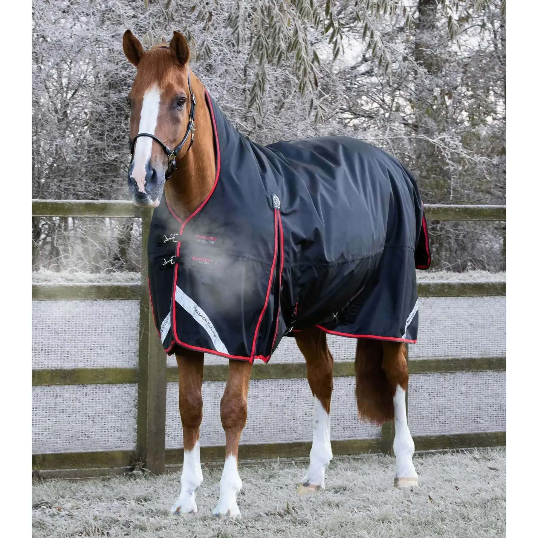 Waterproof outdoor horse blanket Premier Equine Buster Hardy 400 g