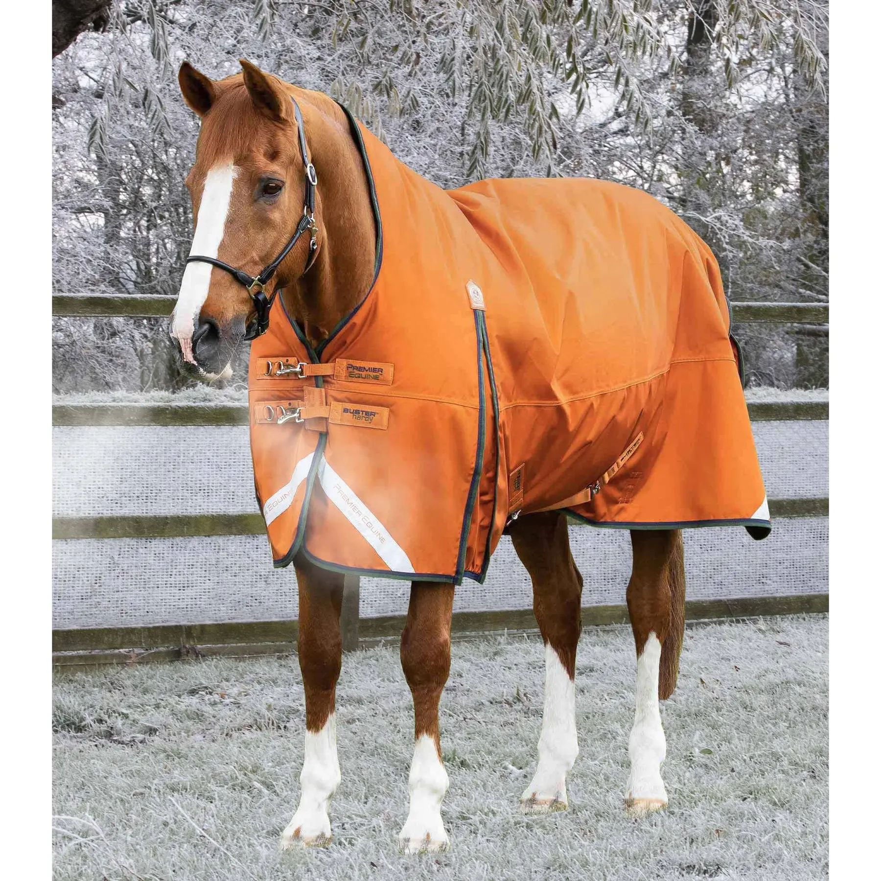 Outdoor horse blanket Premier Equine Buster Hardy 400 g