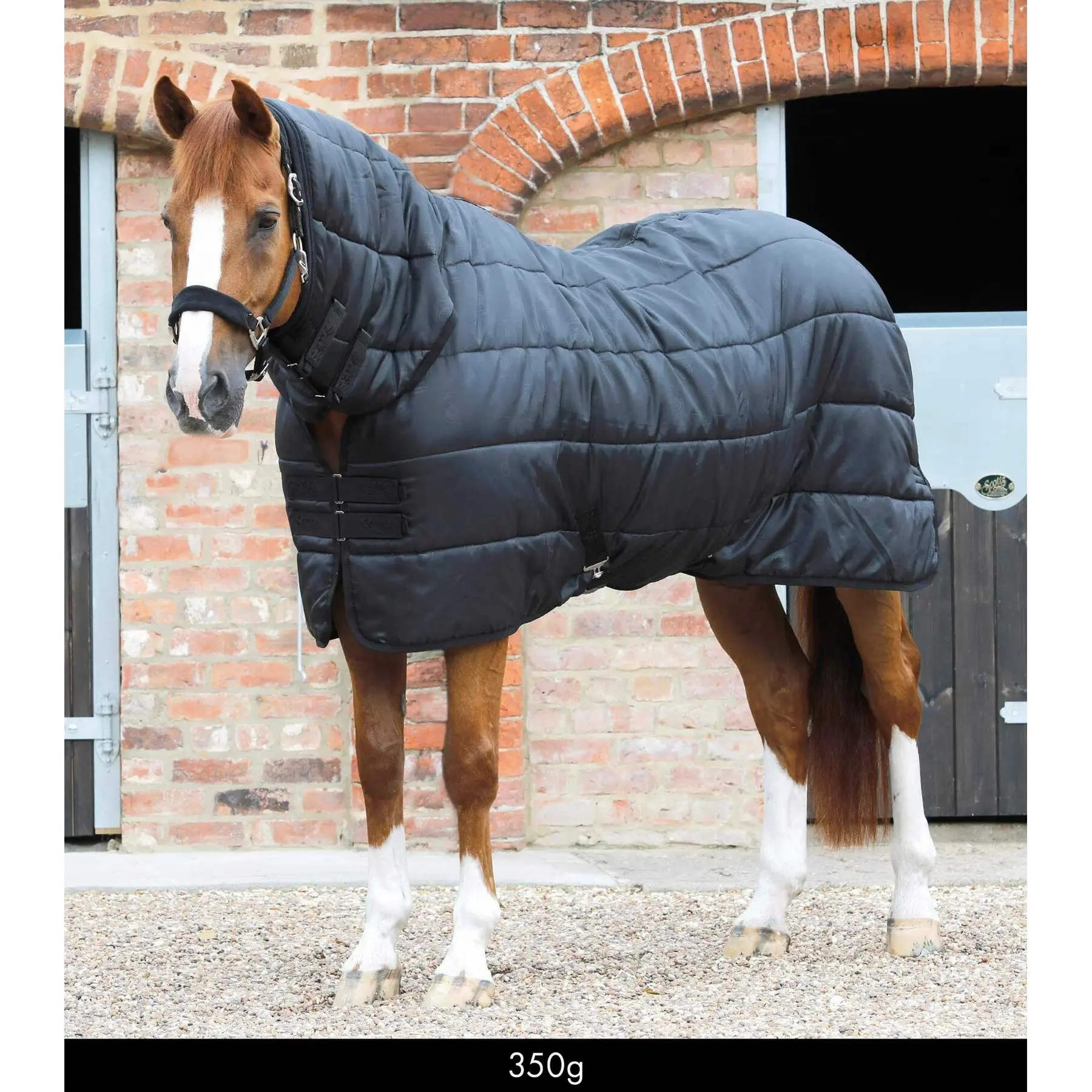 Sottocoperta per cavalli Premier Equine 350 g