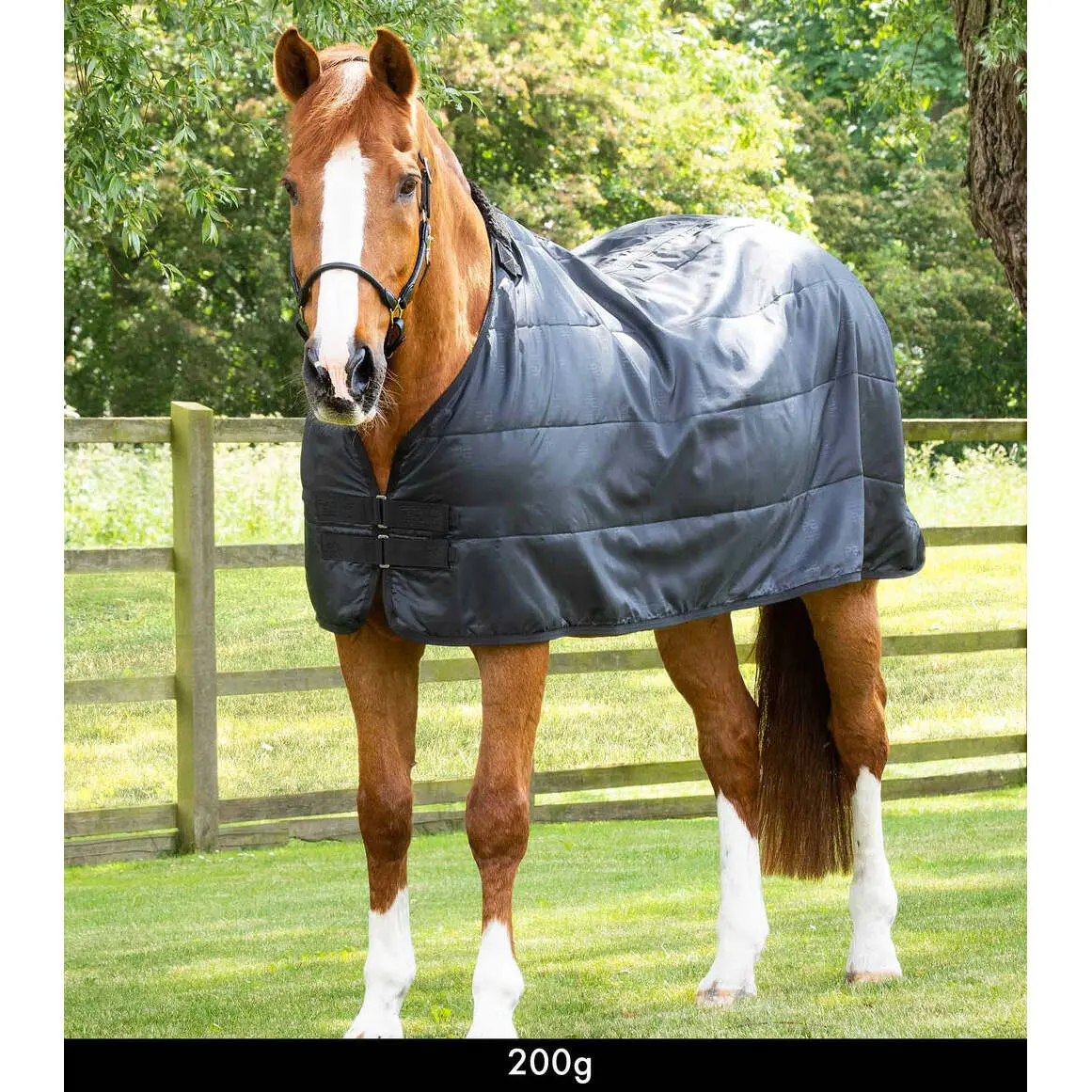 Coperta per cavalli Premier Equine 200 g