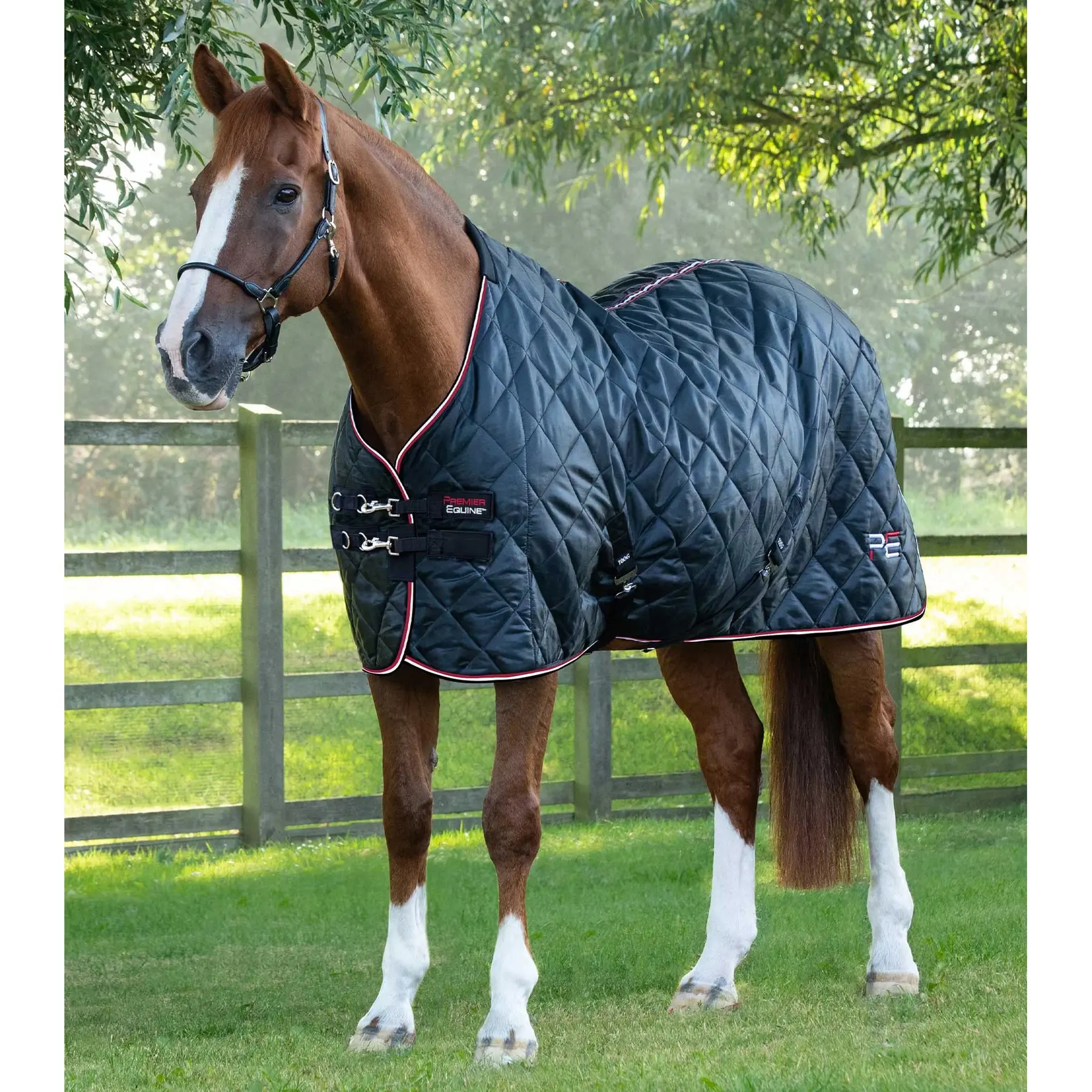 Stable Blanket Premier Equine 100g