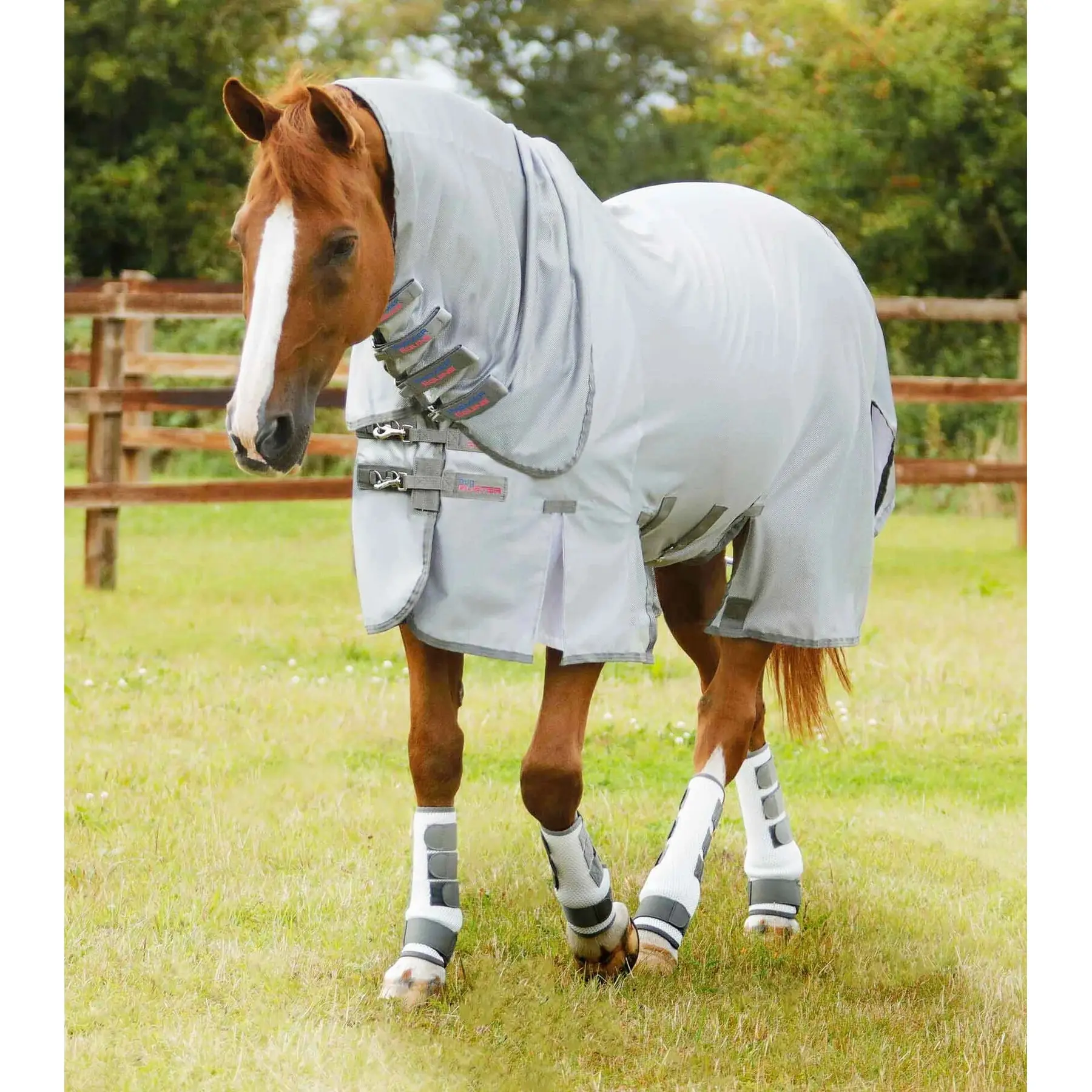 Coperta anti-zanzare per pony con flap ventrale Premier Equine Bug Buster