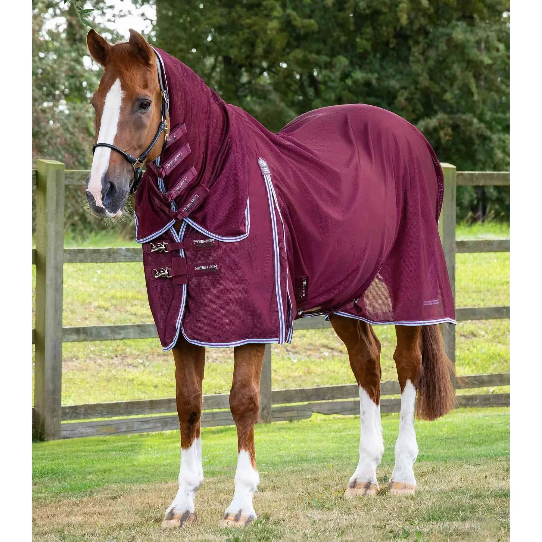 Coperta antimosche in rete con copricollo Premier Equine Combo