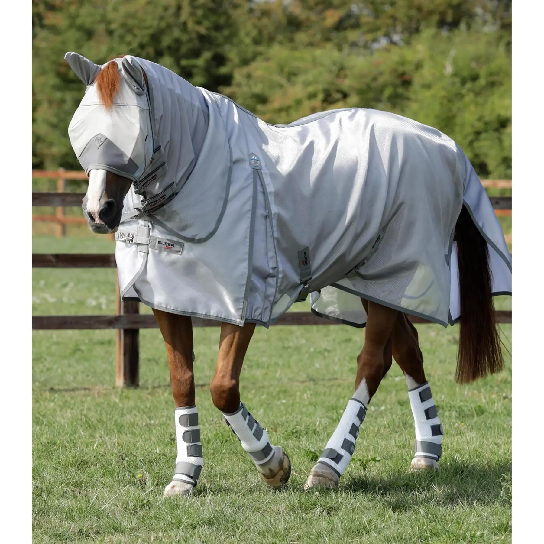 Coperta antimosche Premier Equine Super Lite