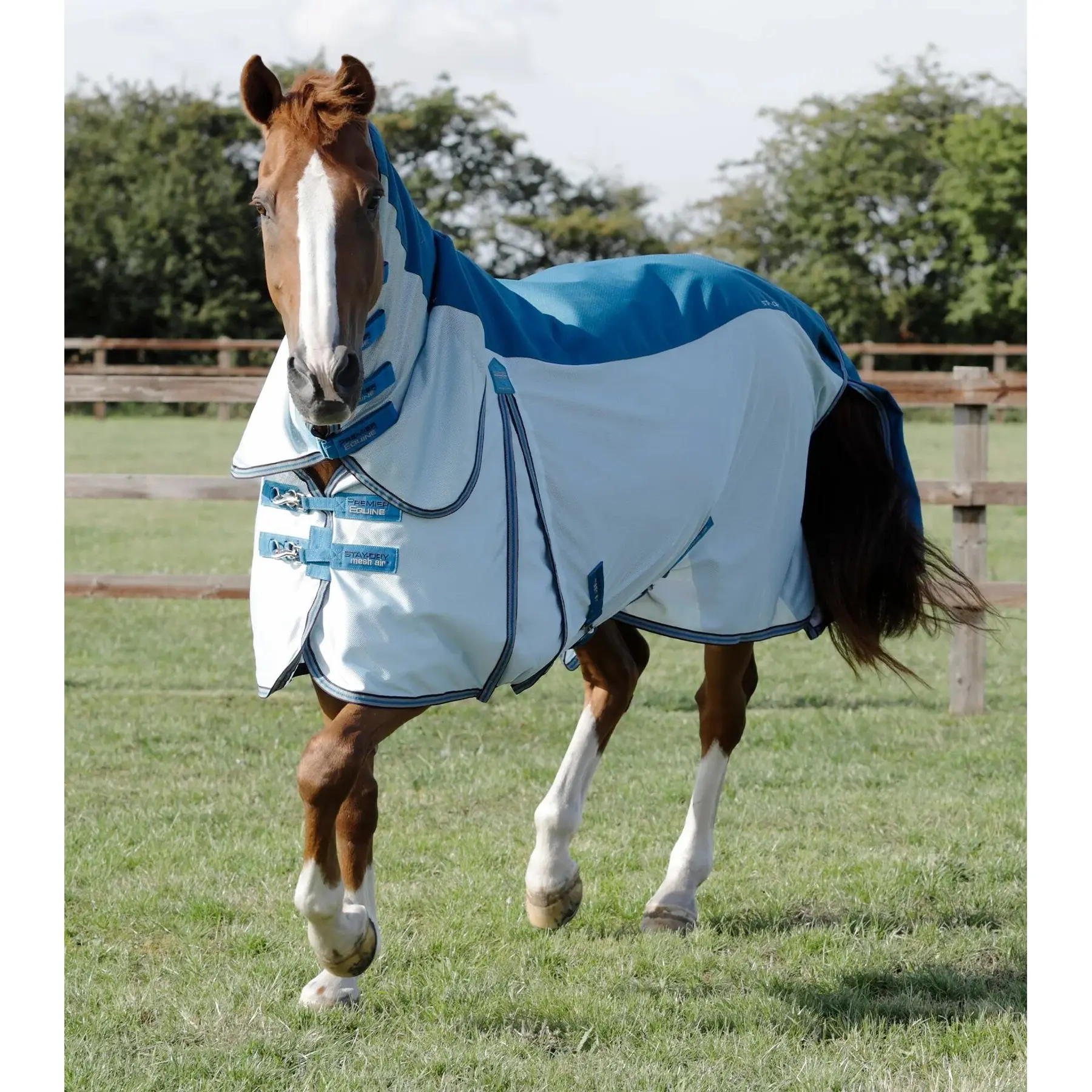 Horse Fly Blanket in mesh Premier Equine Stay-Dry