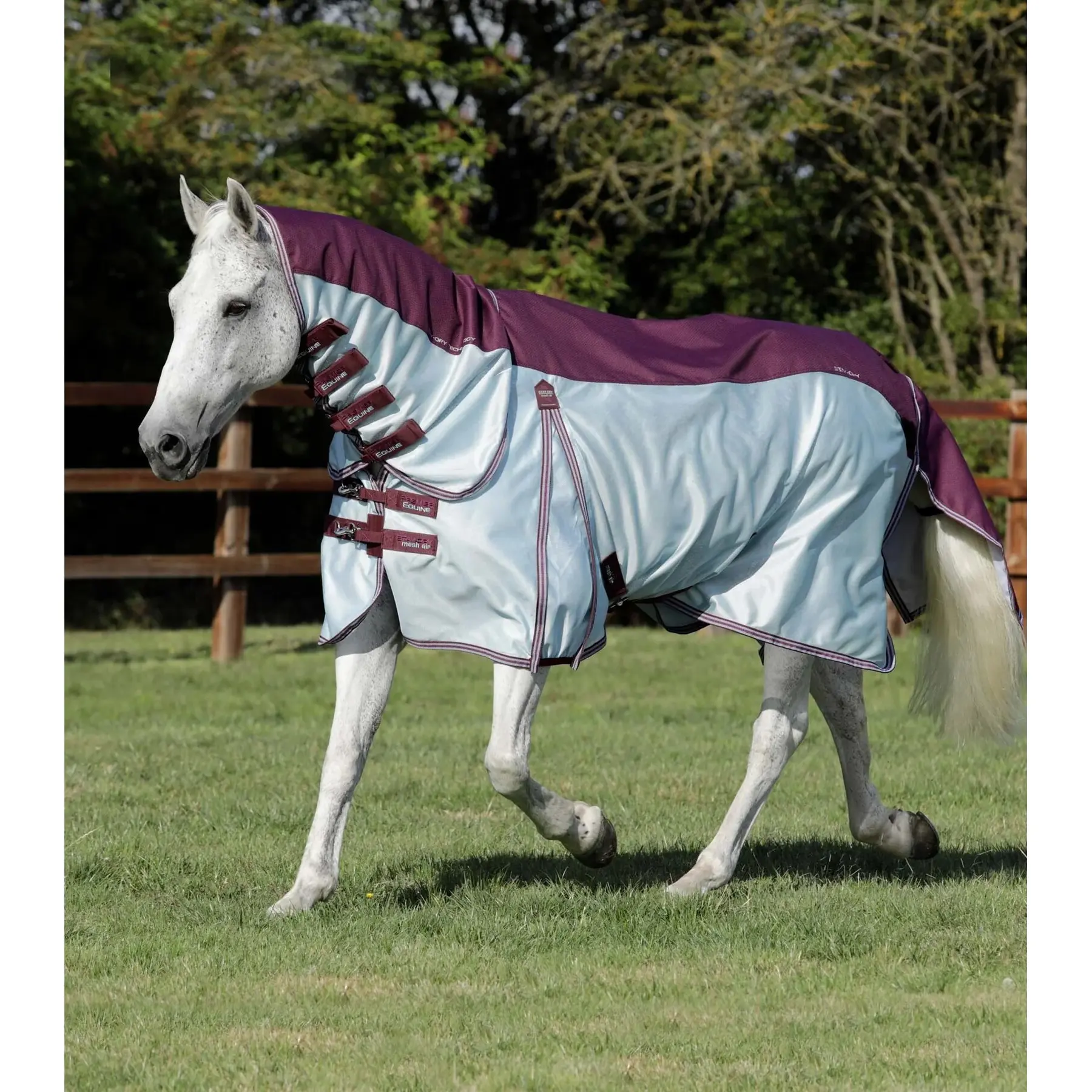 Horse Fly Blanket in mesh Premier Equine Stay-Dry