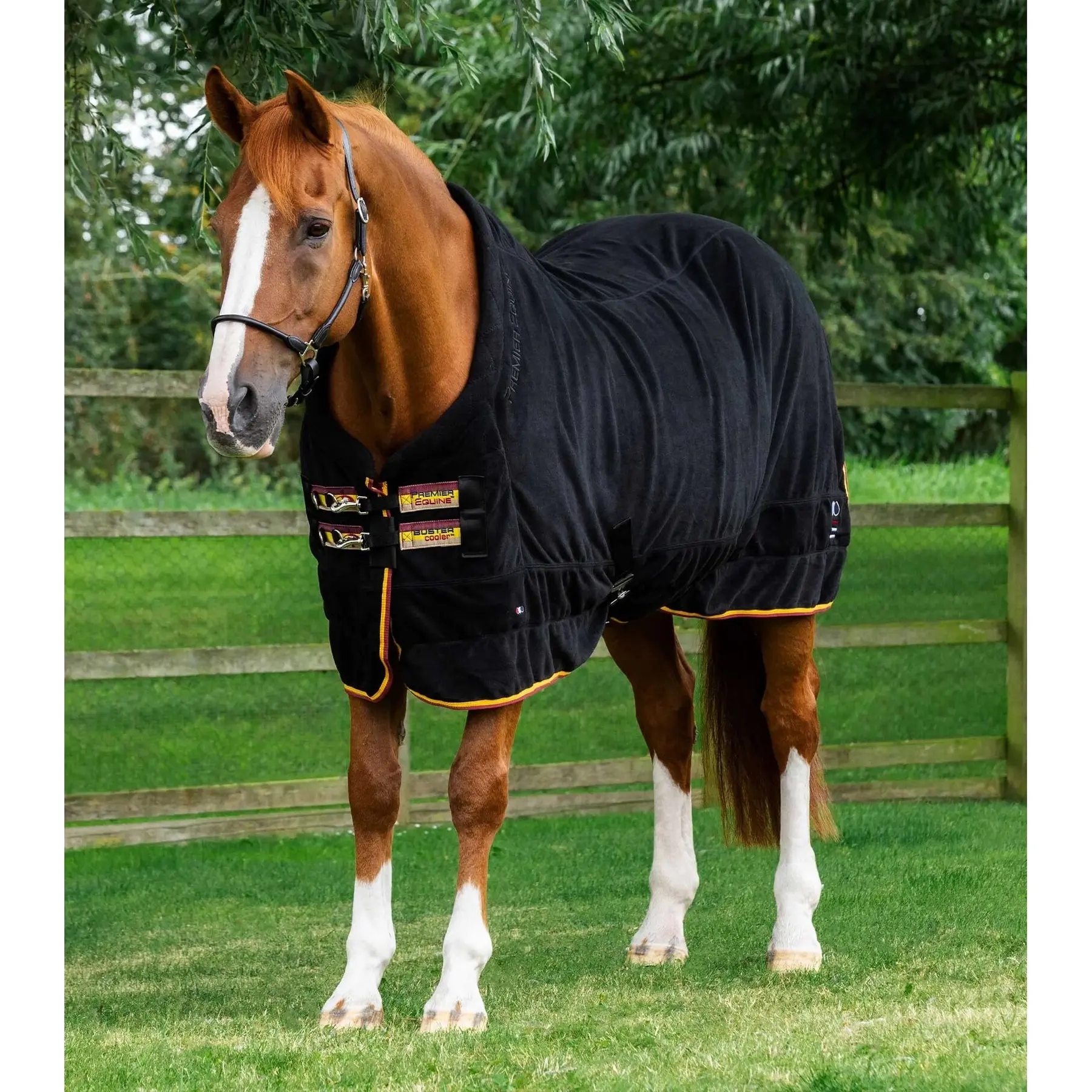 Drying fleece blanket Premier Equine Buster Continental 280g