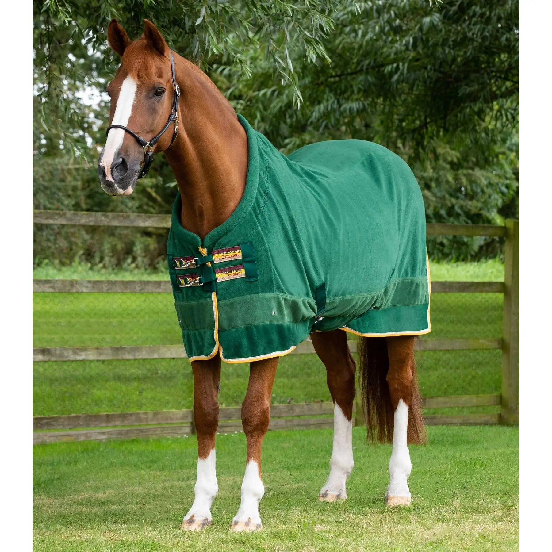 Drying fleece blanket  Premier Equine Buster Continental 280g