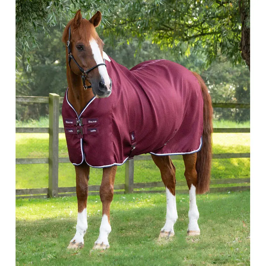 Cooling blanket for horses Premier Equine Cooler Buster