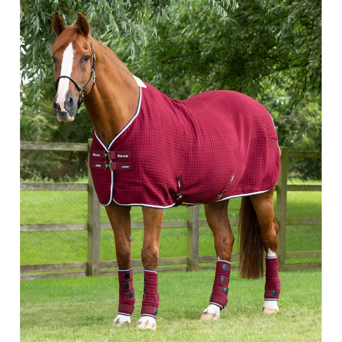 Coperta asciugante per cavalli Premier Equine Premtex