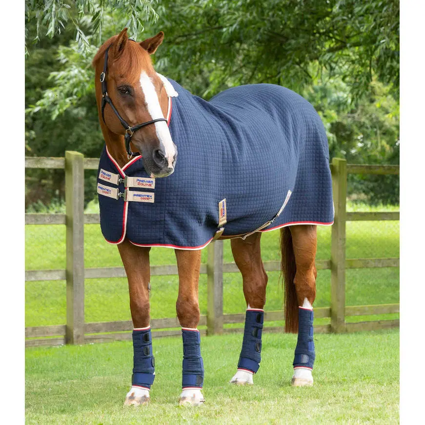 Drying Rug Premier Equine Premtex