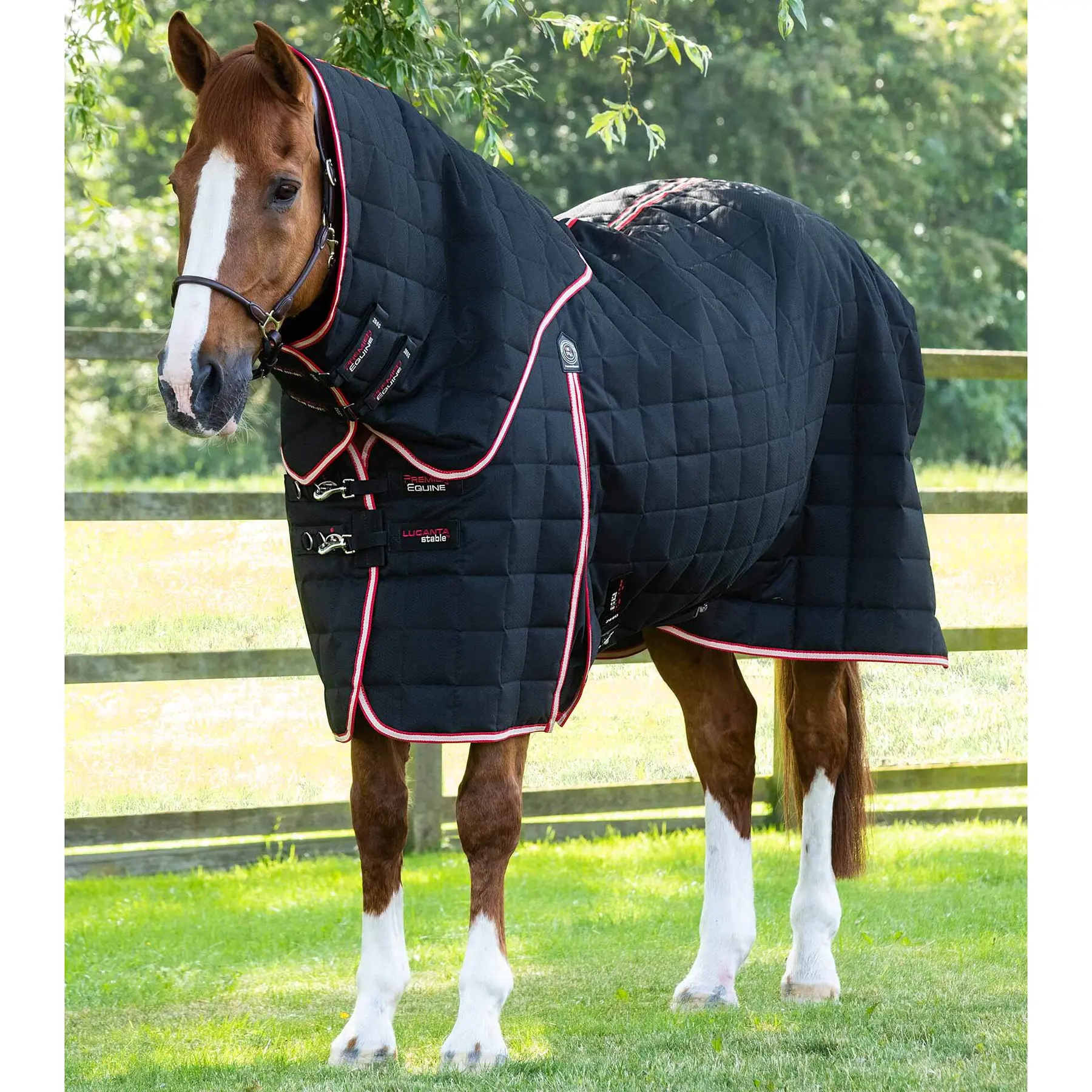 Coperta da scuderia per cavalli con copricollo Premier Equine Lucanta 200 g
