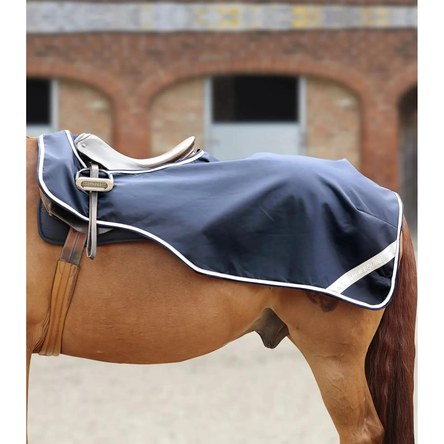 Working kidney cover for horses Premier Equine