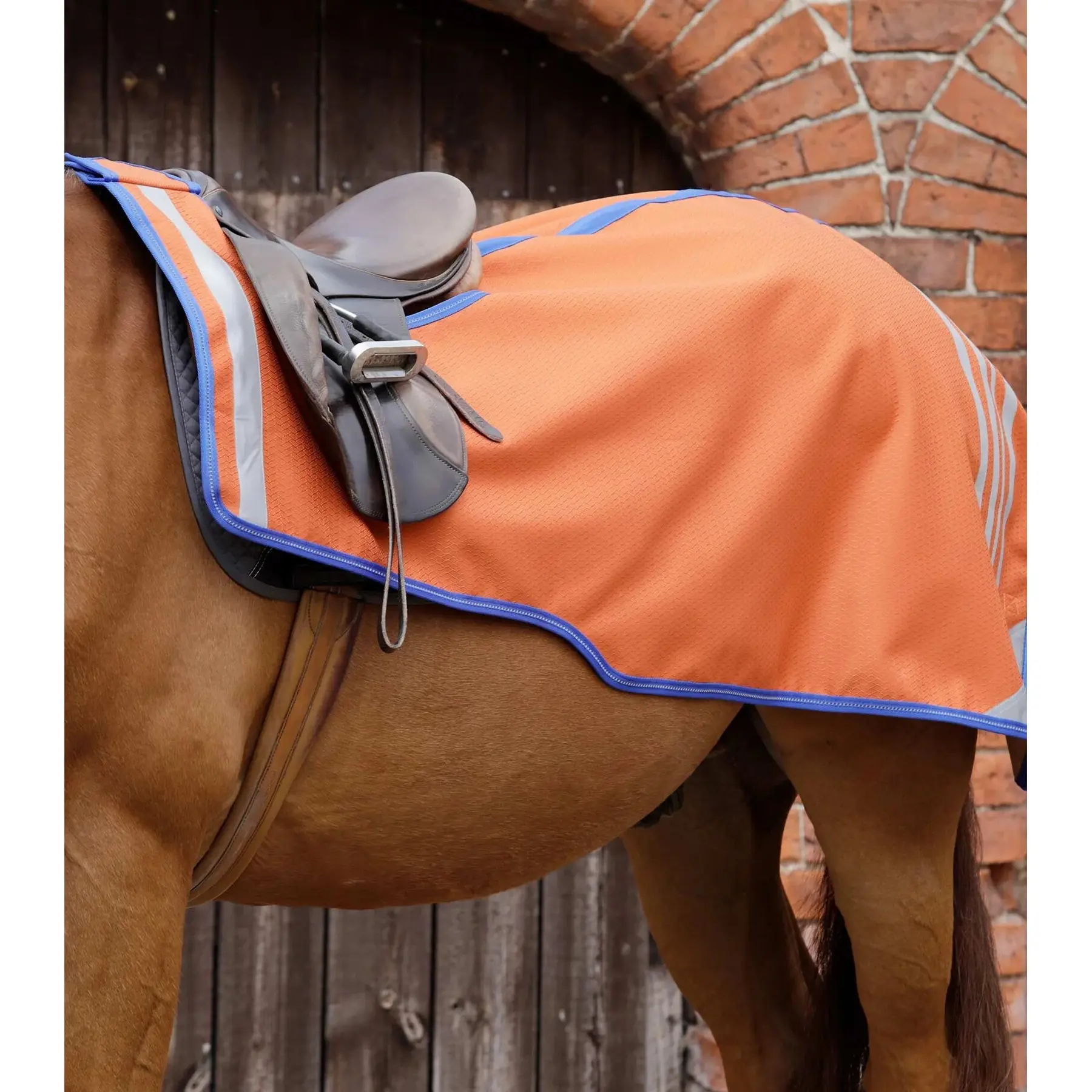 Copertura renale per cavalli Premier Equine Stratus