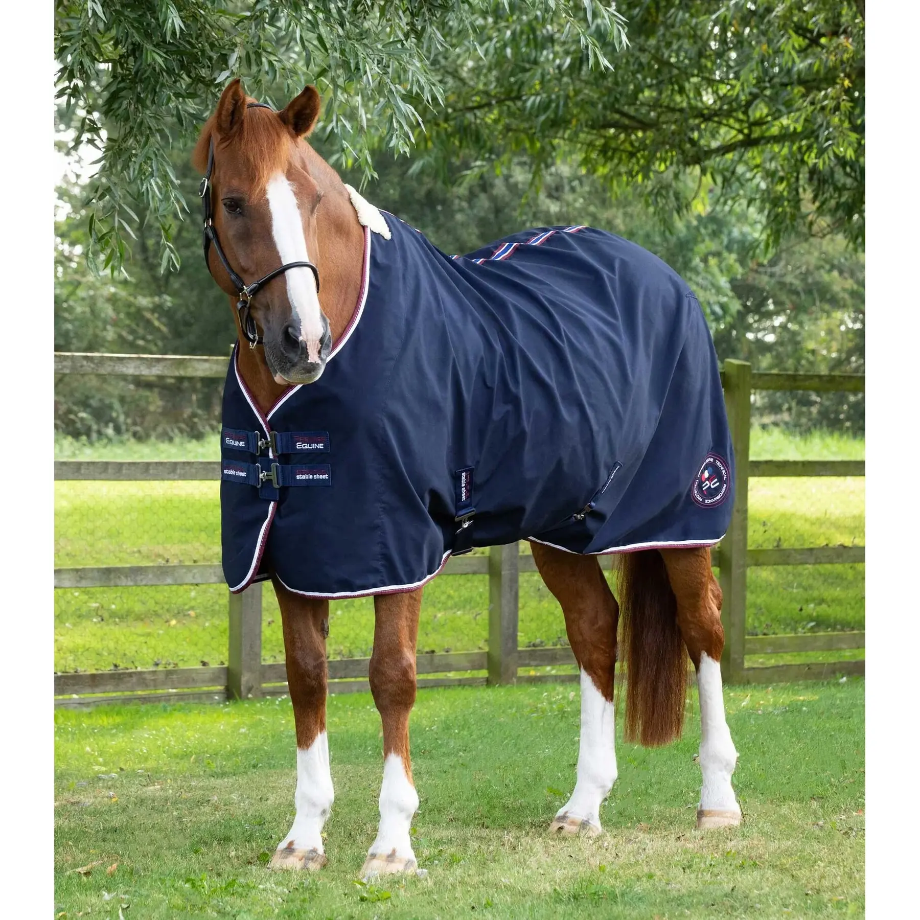Horse Stable Blanket Premier Equine Stratus