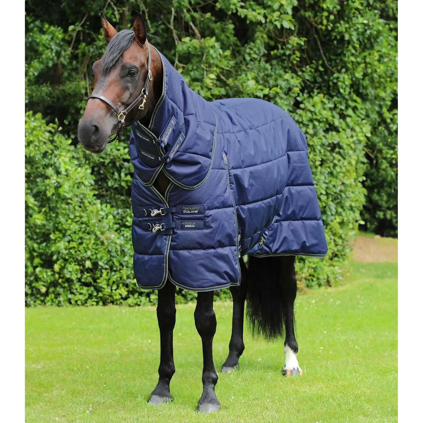 Stalldecke für Pferde mit Halswärmer Premier Equine Hydra 350g