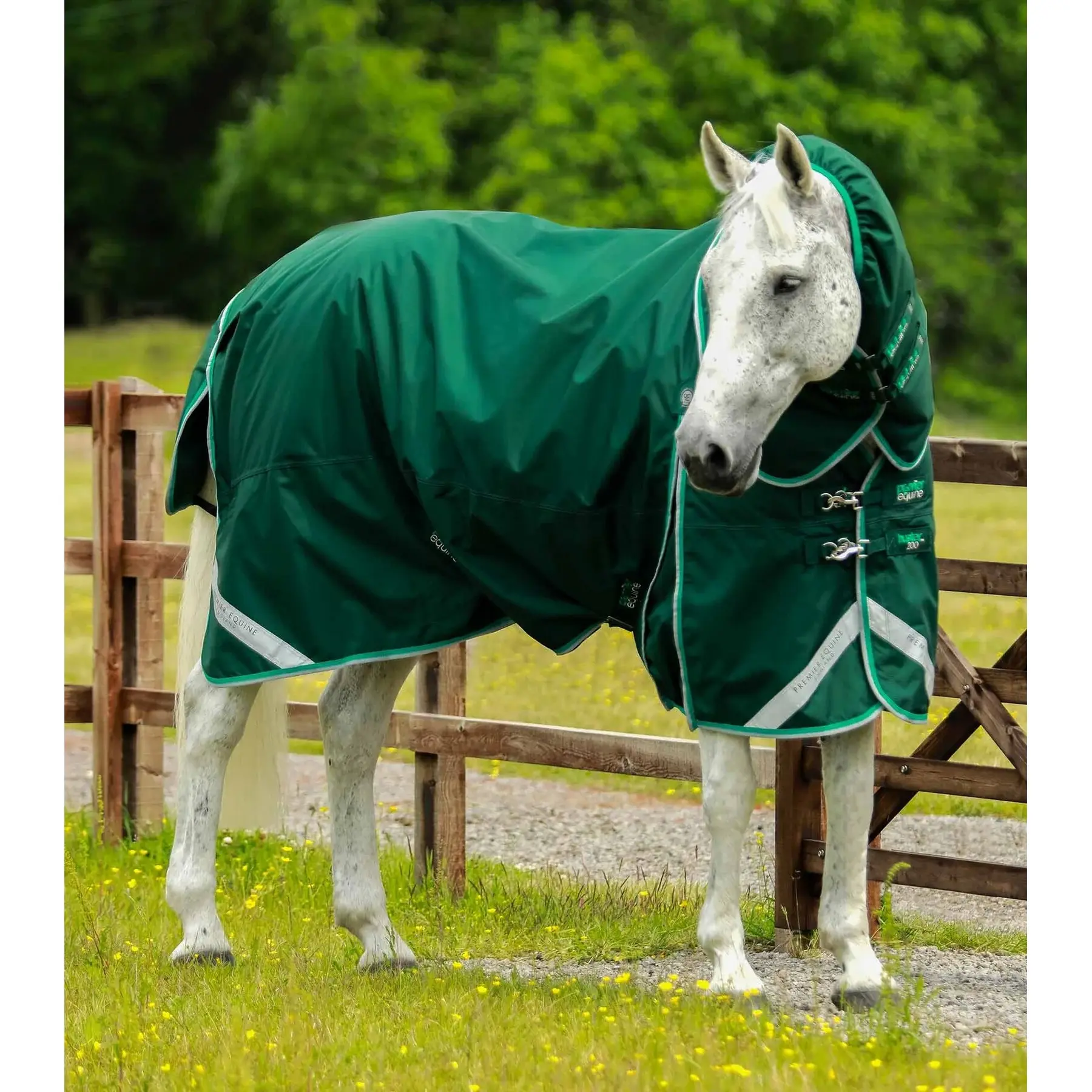 Waterproof outdoor horse blanket with neck cover Premier Equine Buster 200 g