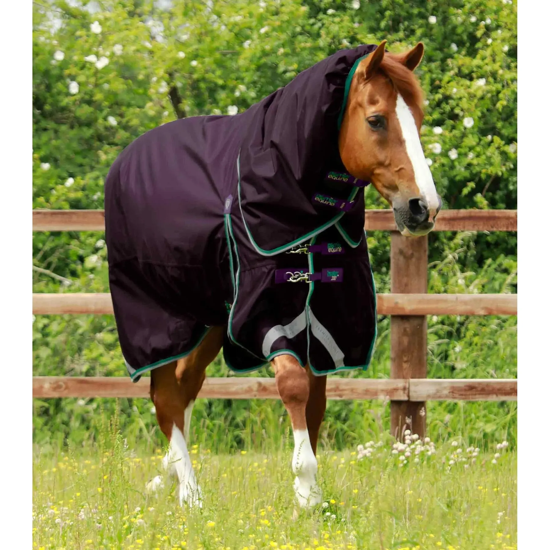 Coperta impermeabile per cavalli con copricollo Premier Equine Buster 200 g