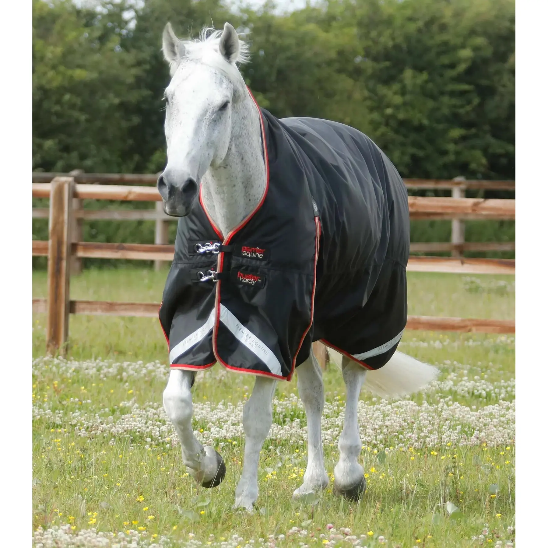 Coperta impermeabile per cavalli Premier Equine Buster Hardy 100 g