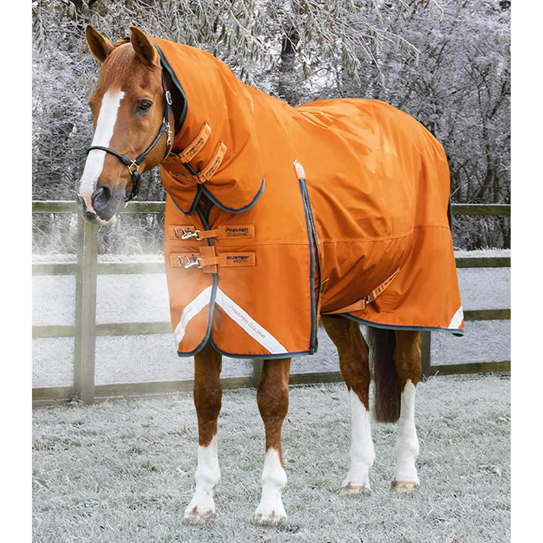 Coperta impermeabile per cavalli con copricollo Premier Equine Buster Combo 400g