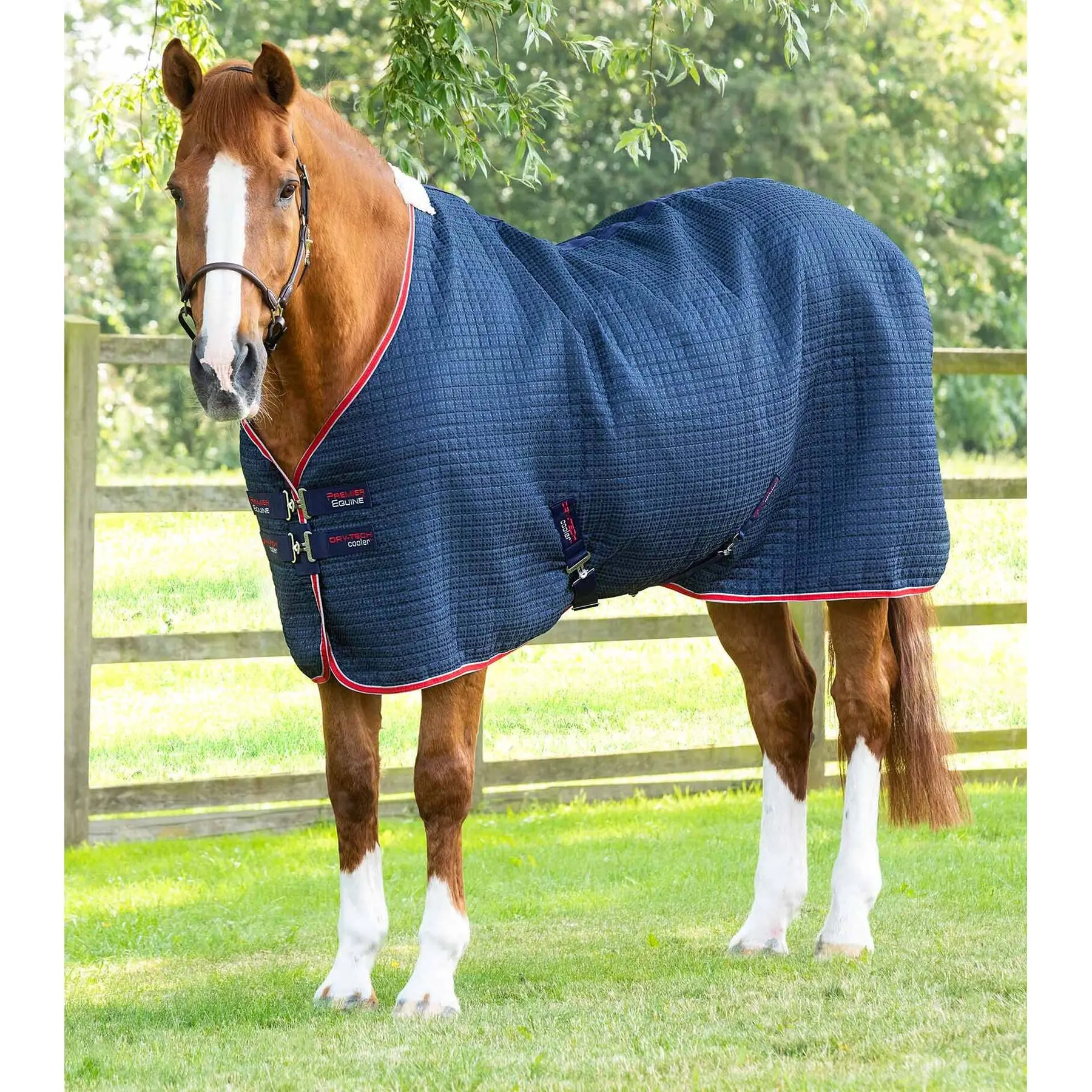 Coperta per cavalli Premier Equine Walker 0 g