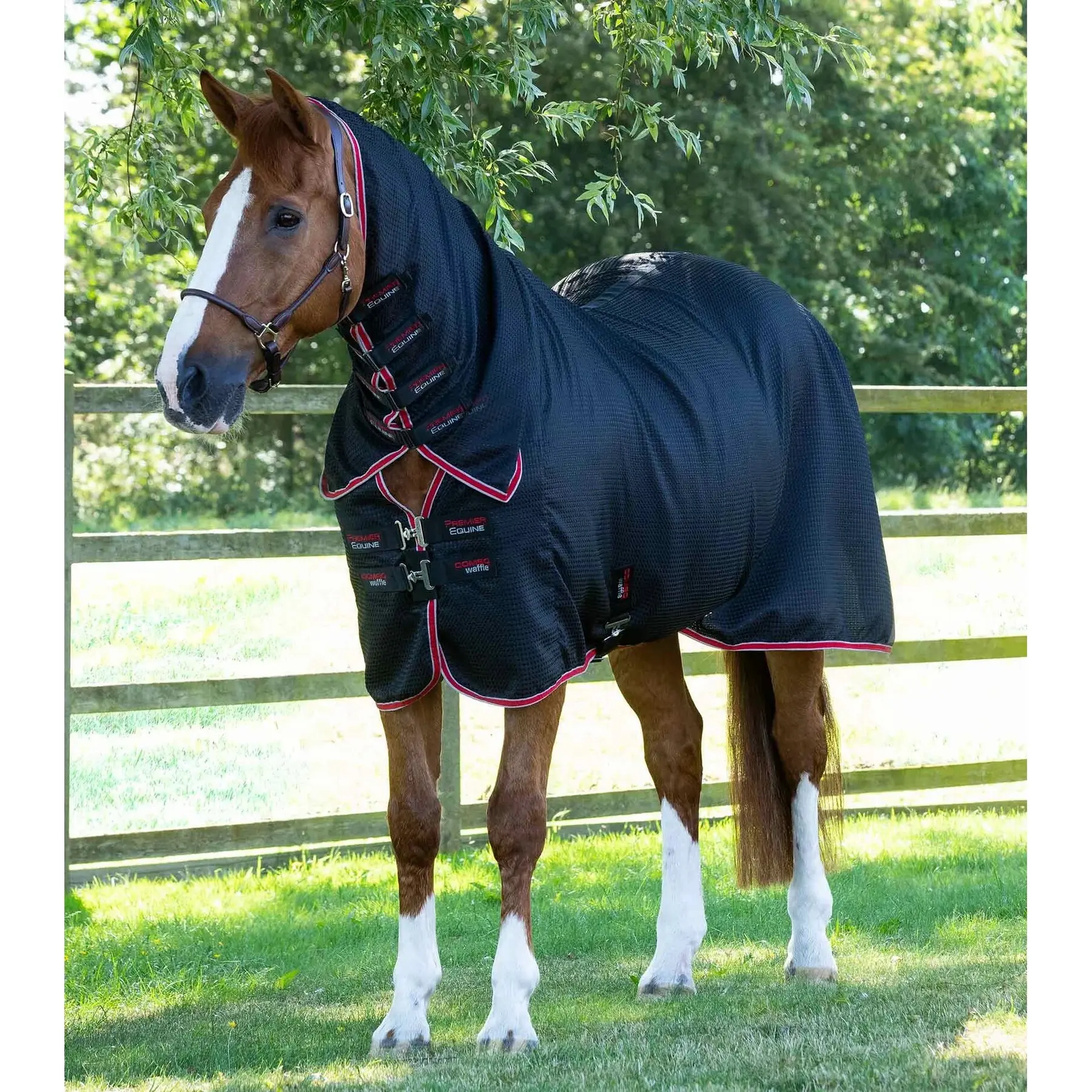 Drying blanket for horse with neck cover Premier Equine