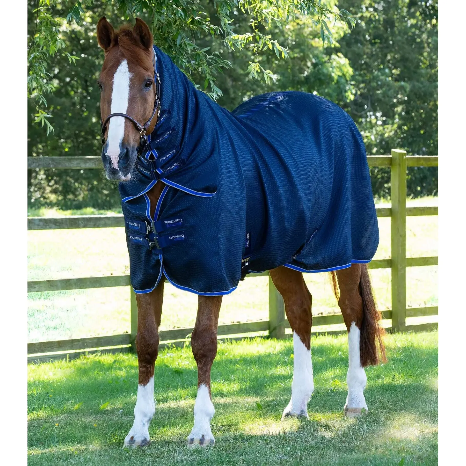 Drying blanket for horse with neck cover Premier Equine