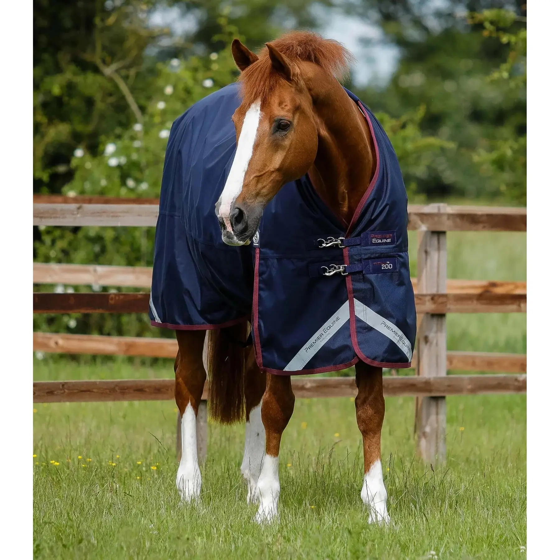 Outdoor horse blanket Premier Equine Titan 200 g Original