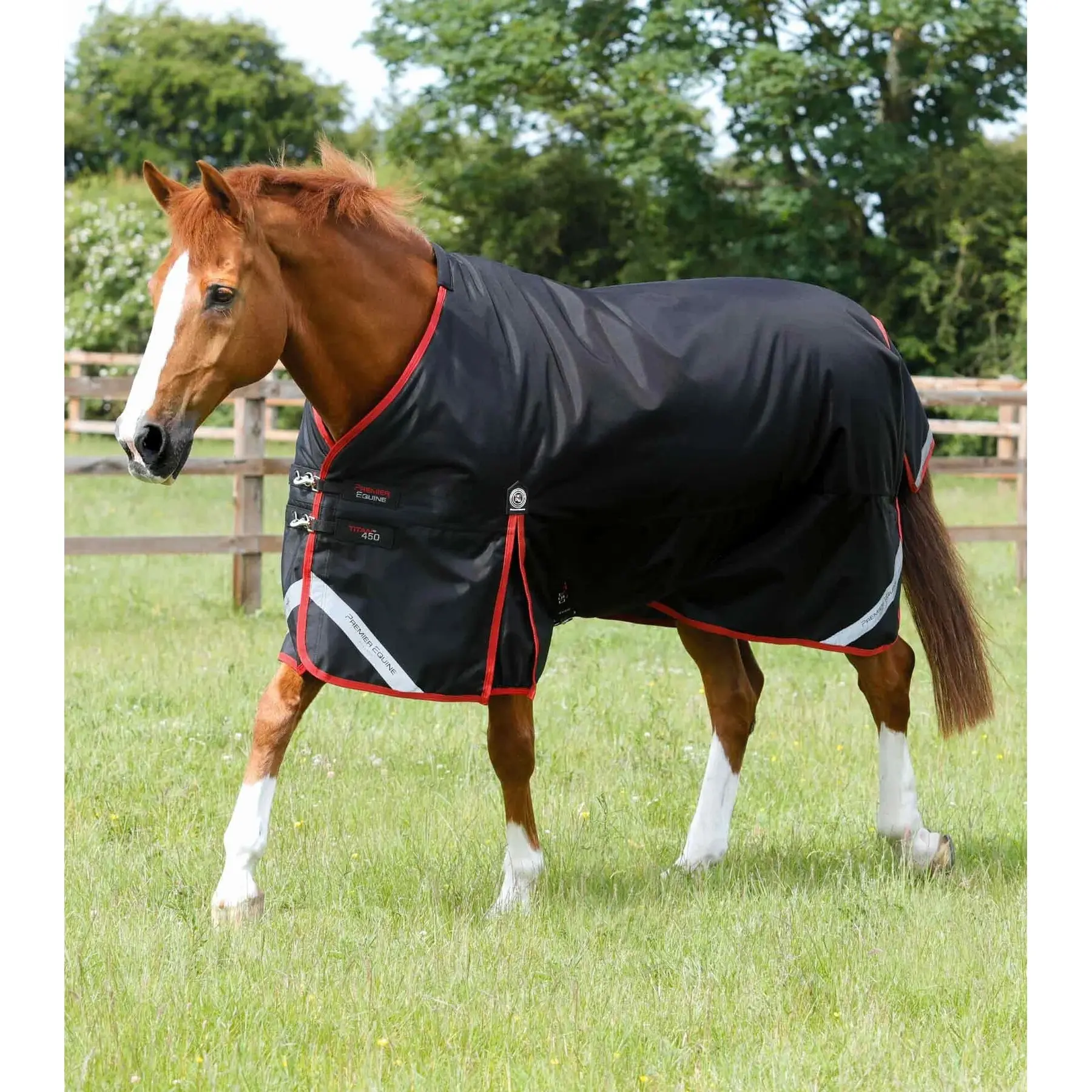 Outdoor horse blanket Premier Equine Turnout Rug 450 g