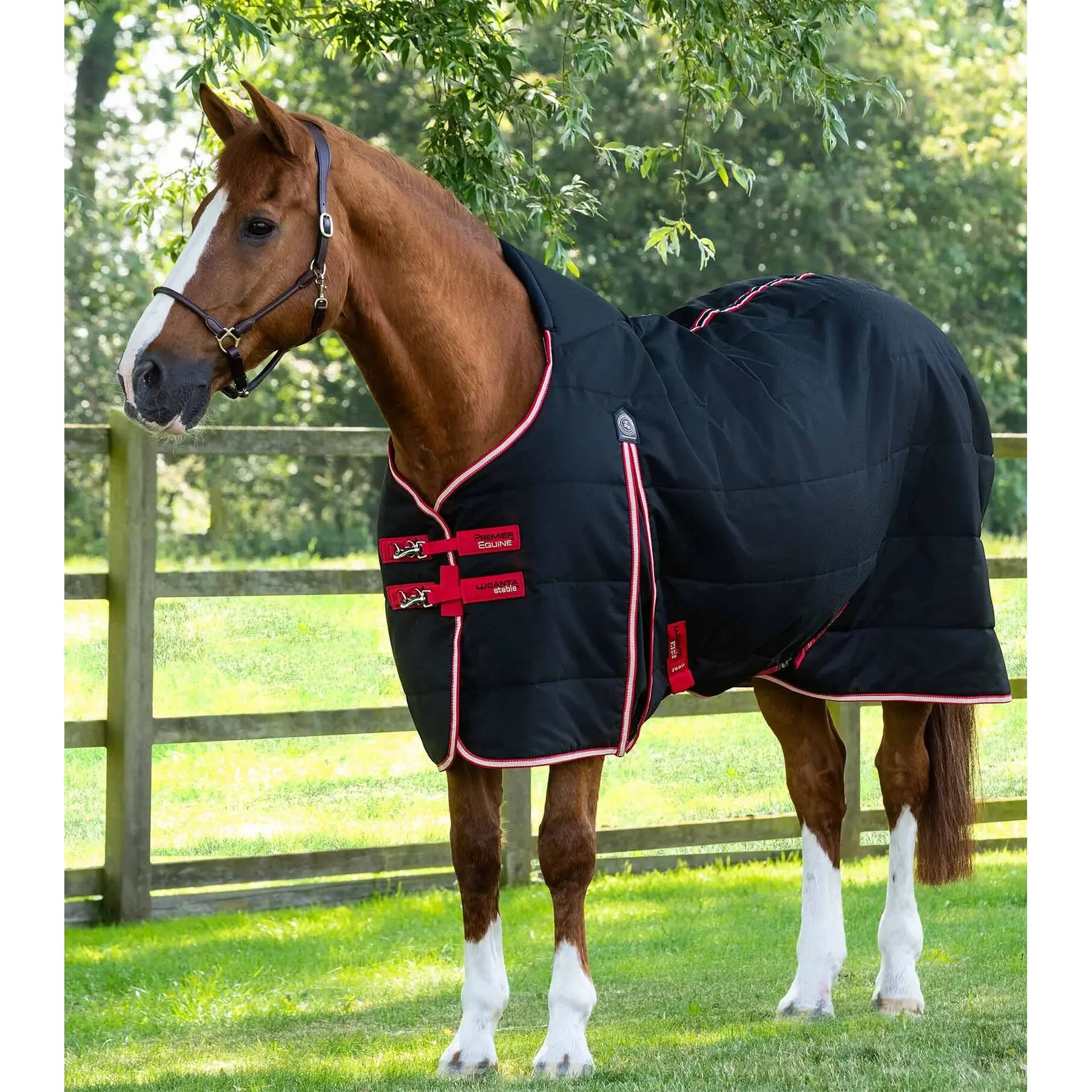 Stable Blanket  Premier Equine Lucanta 200 g