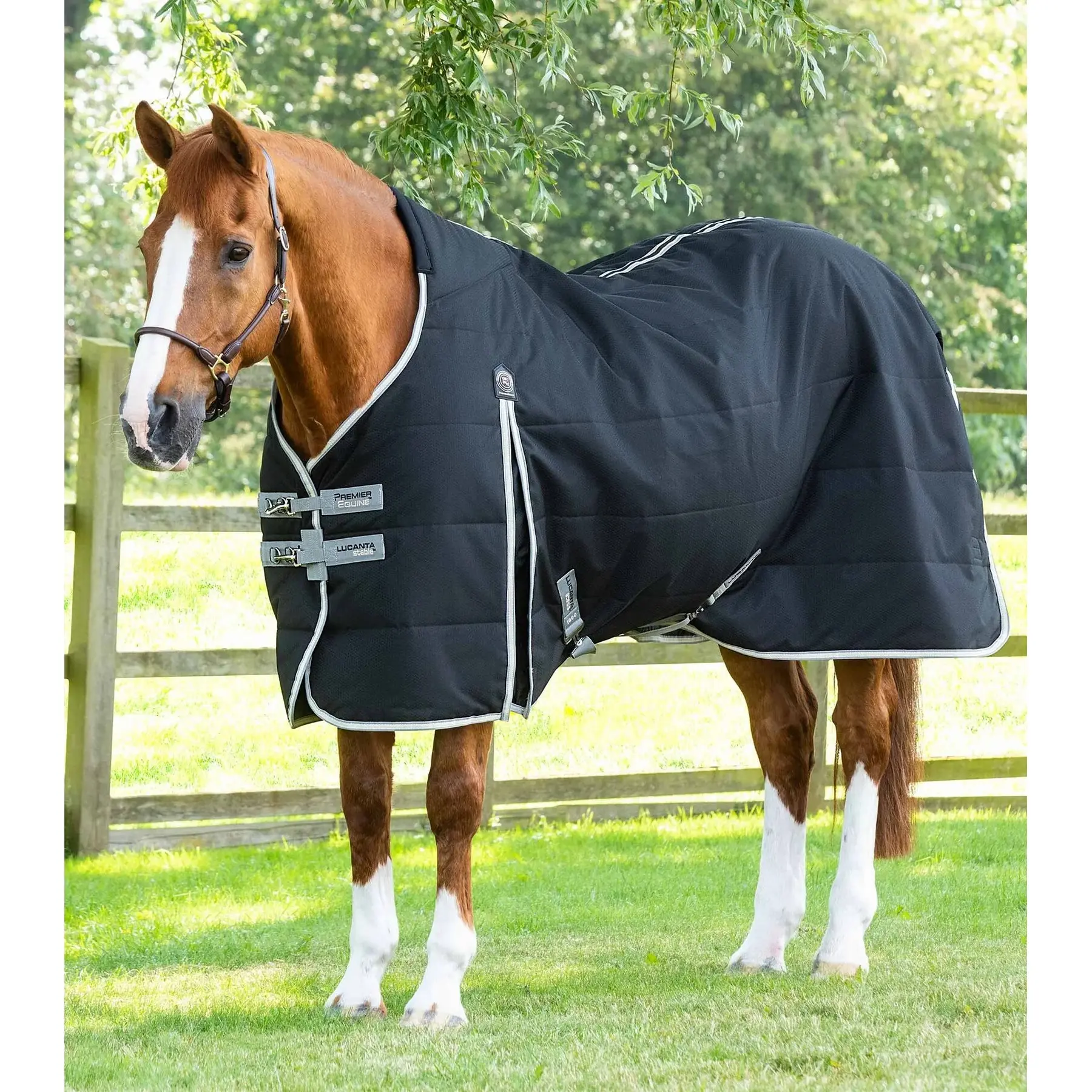 Stable Blanket Premier Equine Lucanta 100 g