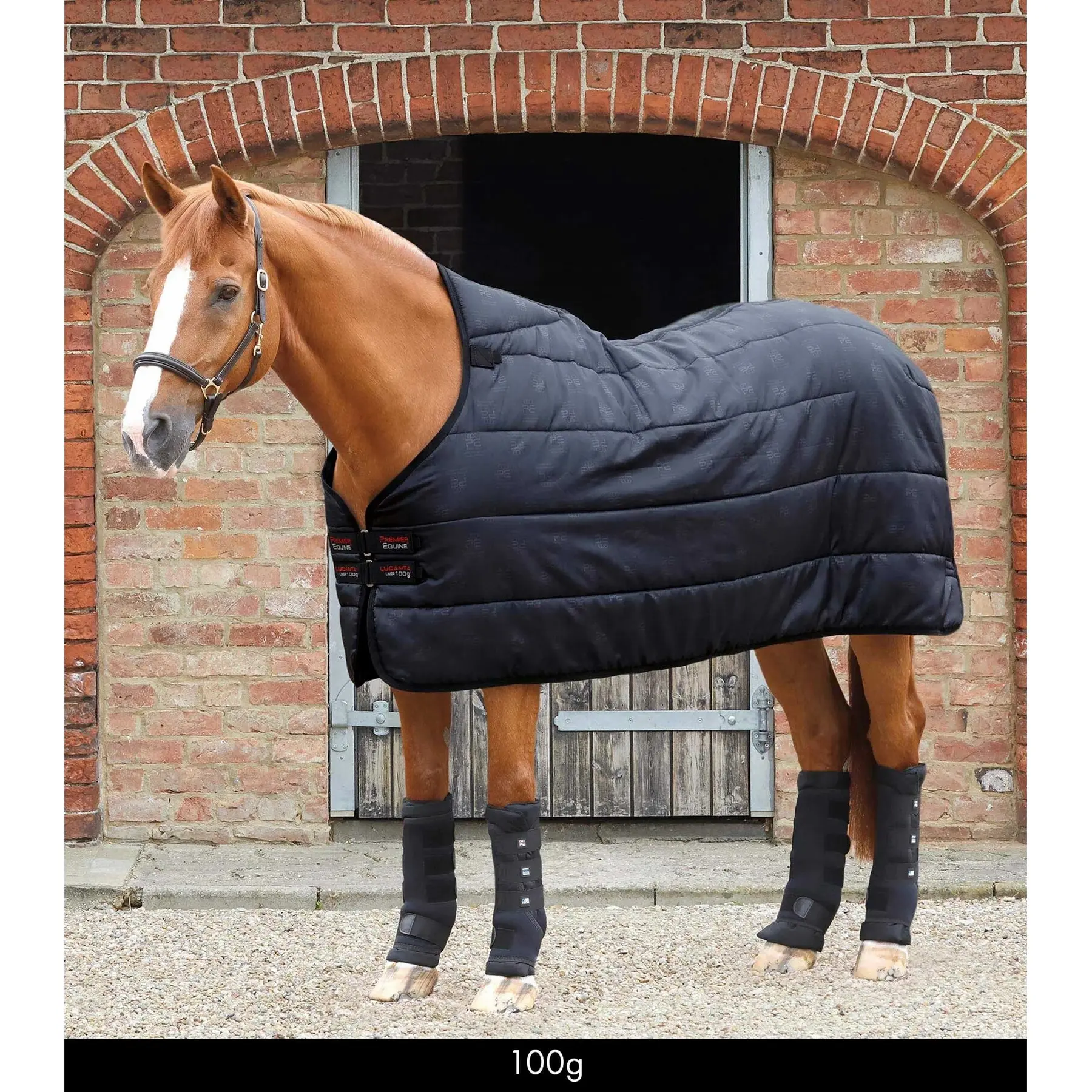Sottocoperta per cavalli Premier Equine Lucanta 100 g