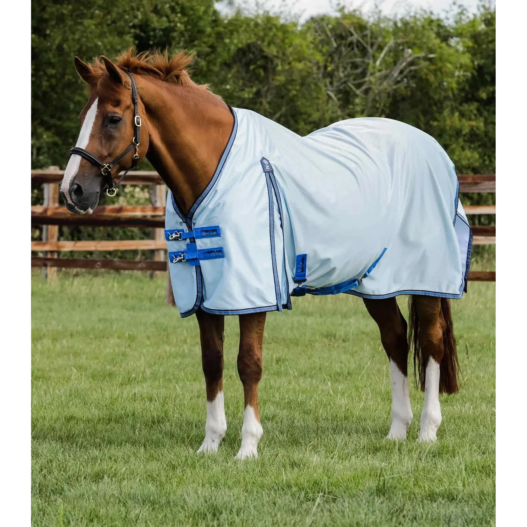 Mesh Anti-fly Rug Premier Equine