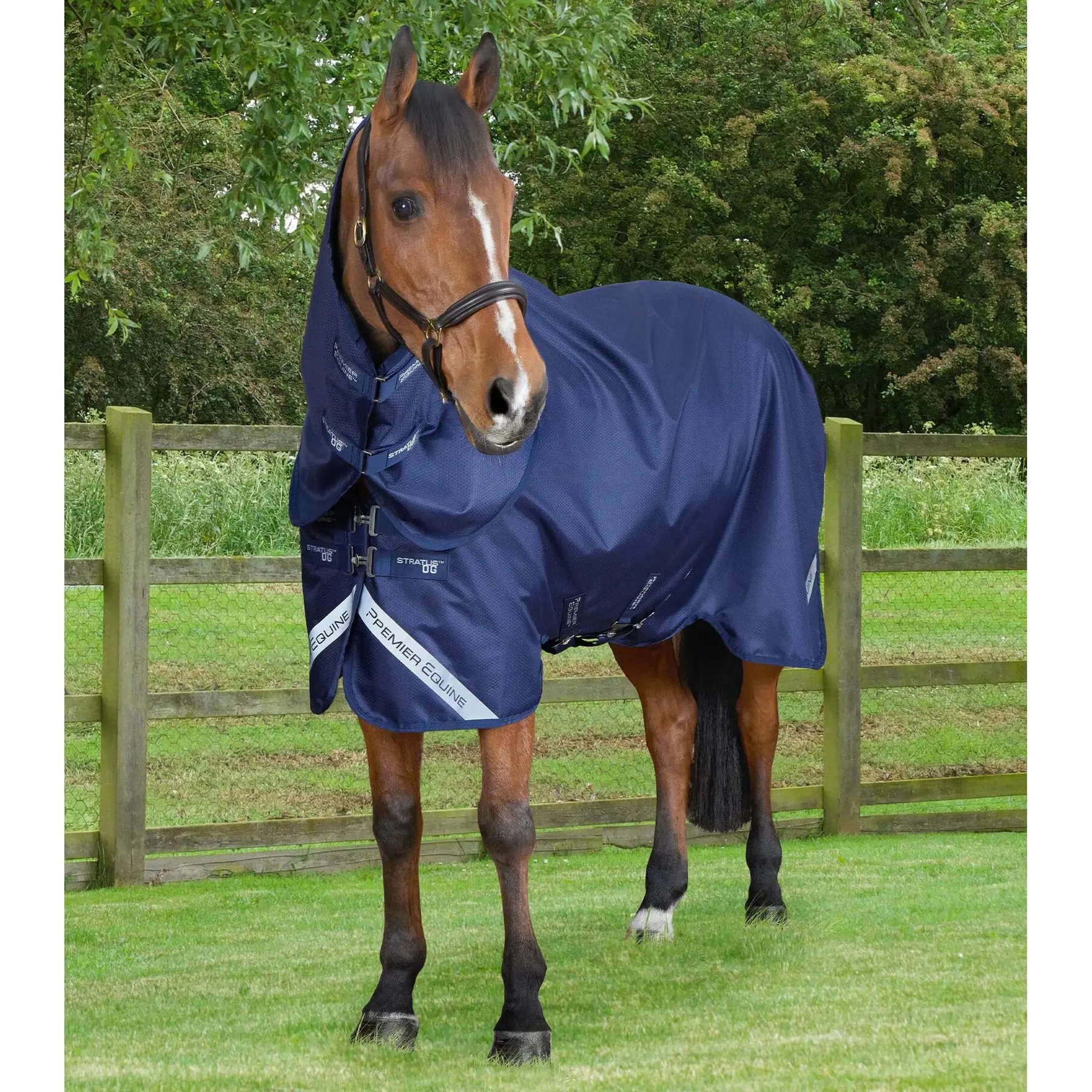 Außendecke für Pferde mit klassischem Halsteil Premier Equine Stratus 600D Series 0 g
