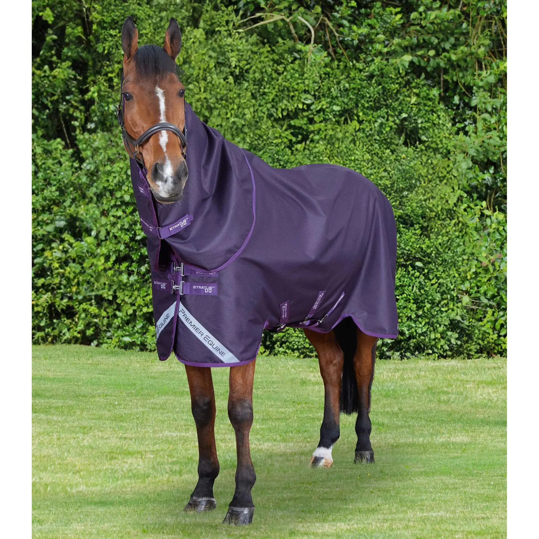 Outdoor horse blanket with classic neck cover Premier Equine Stratus 600D Series 0 g