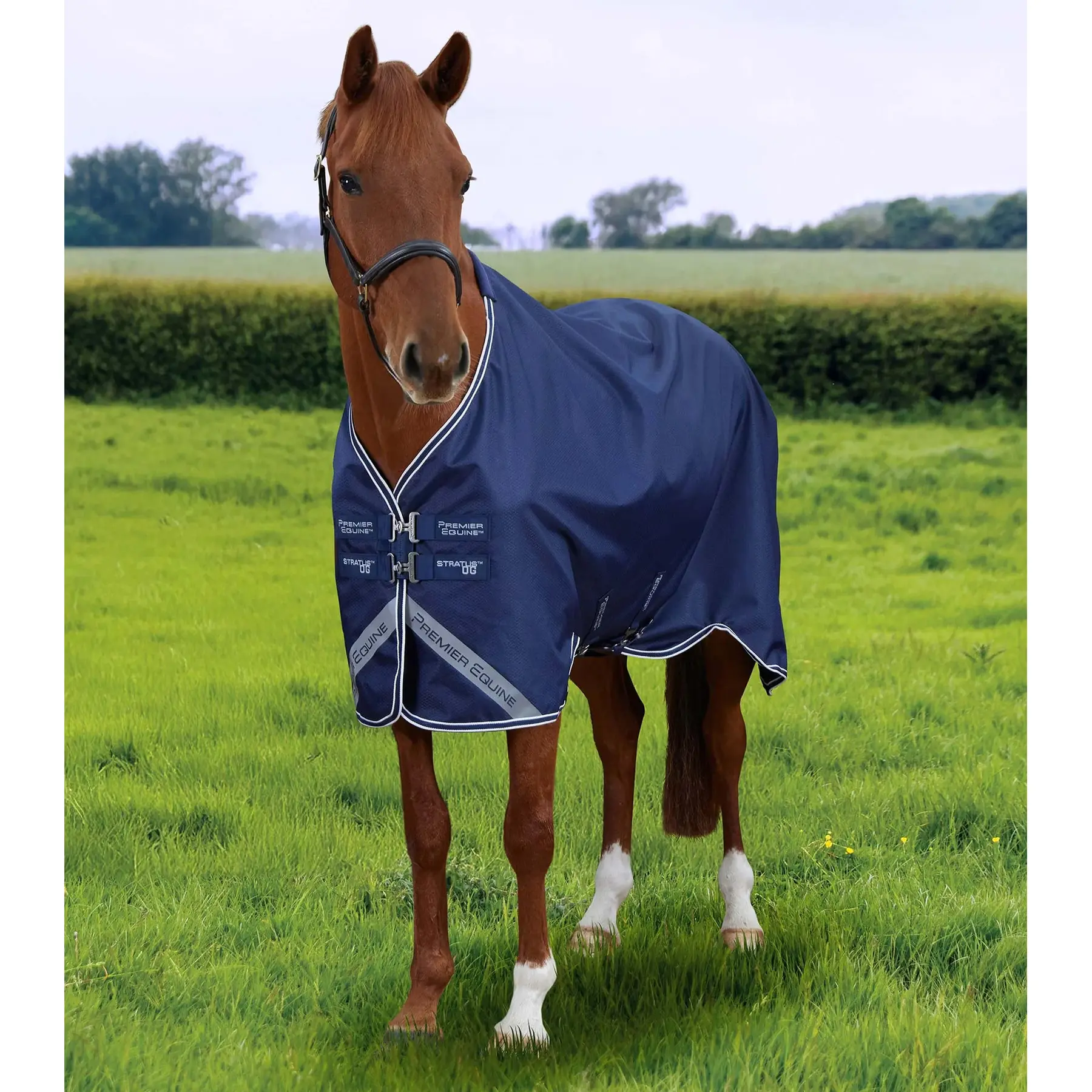 Outdoor-Decke für Pferde Premier Equine Stratus 600D Series Original
