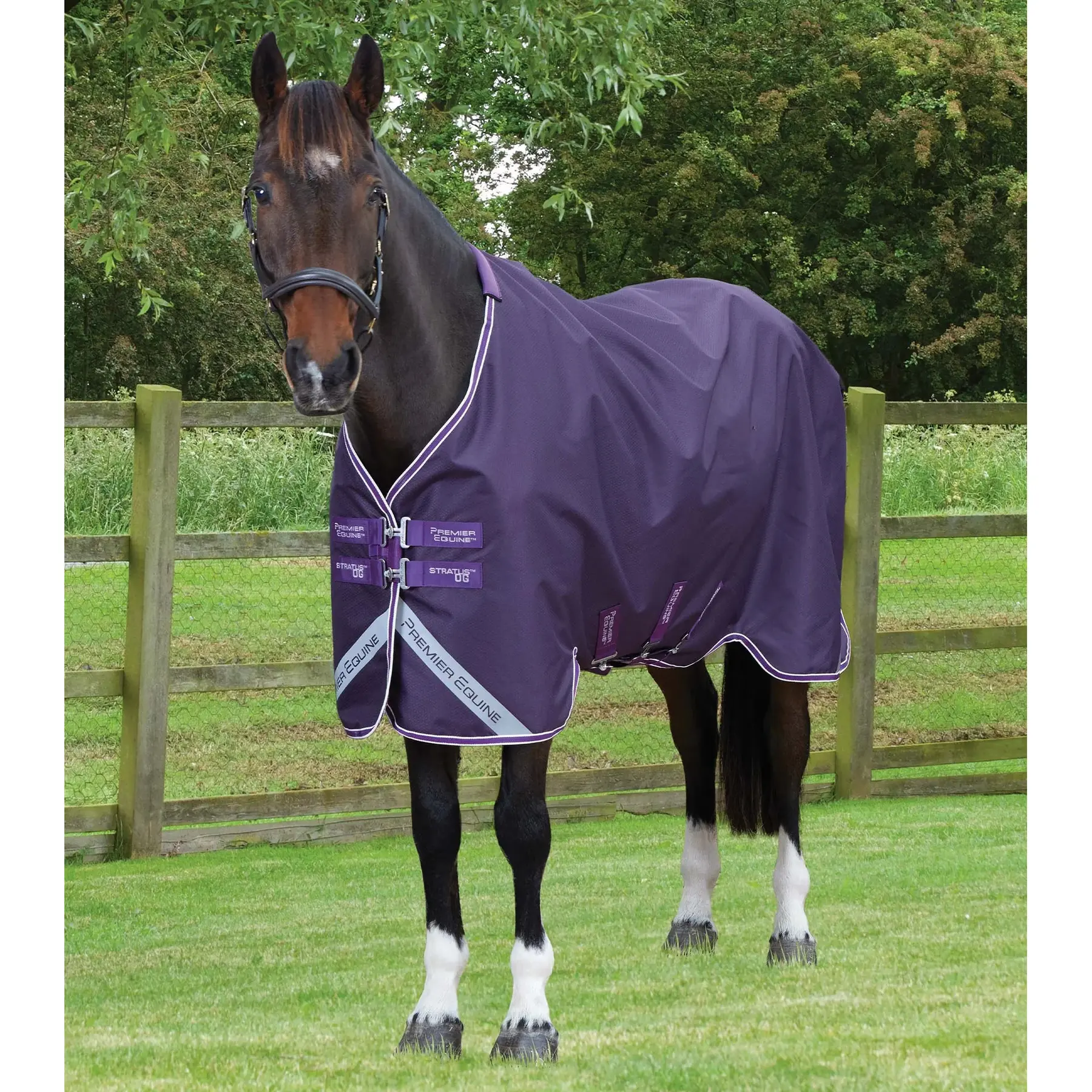 Outdoor-Decke für Pferde Premier Equine Stratus 600D Series Original