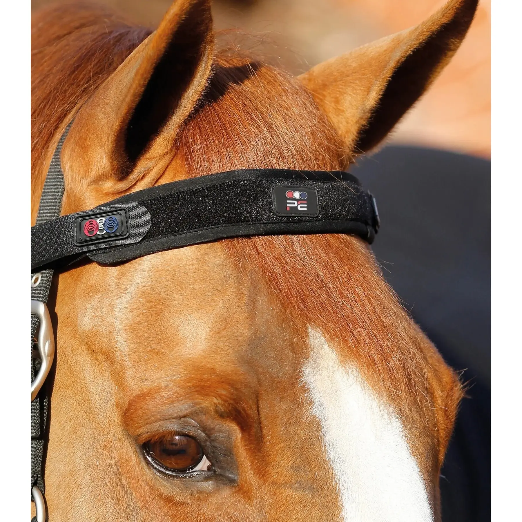 Magnetic horse headband Premier Equine Magni-Teque