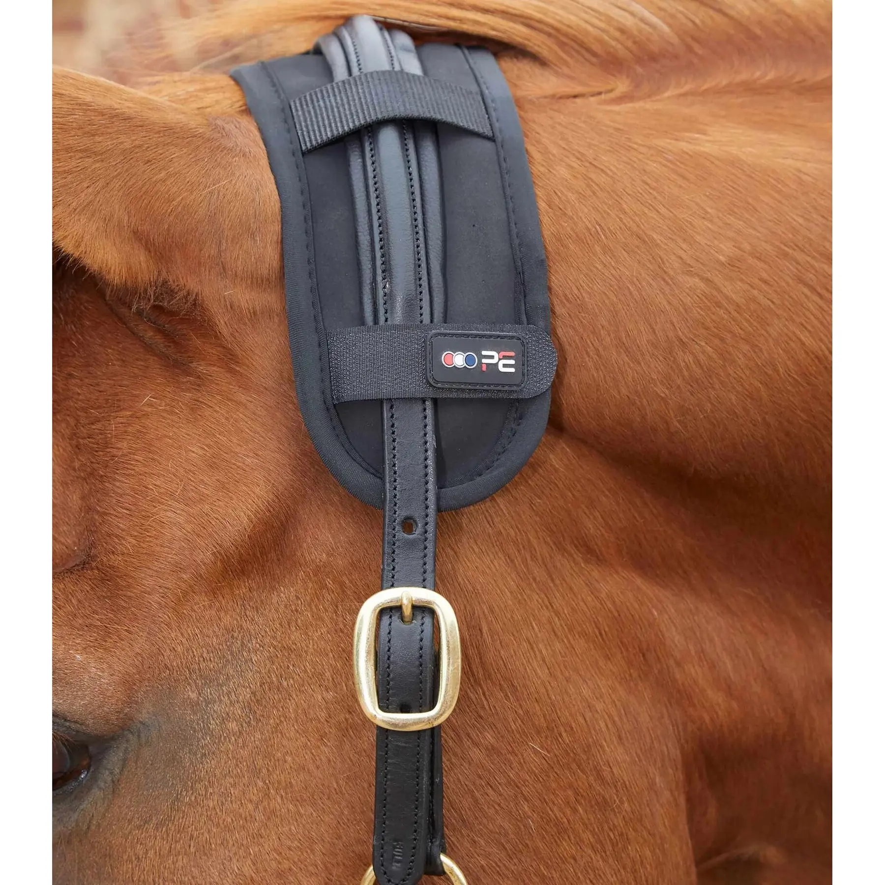 Paracollo magnetico per cavalli Premier Equine Magni-Teque