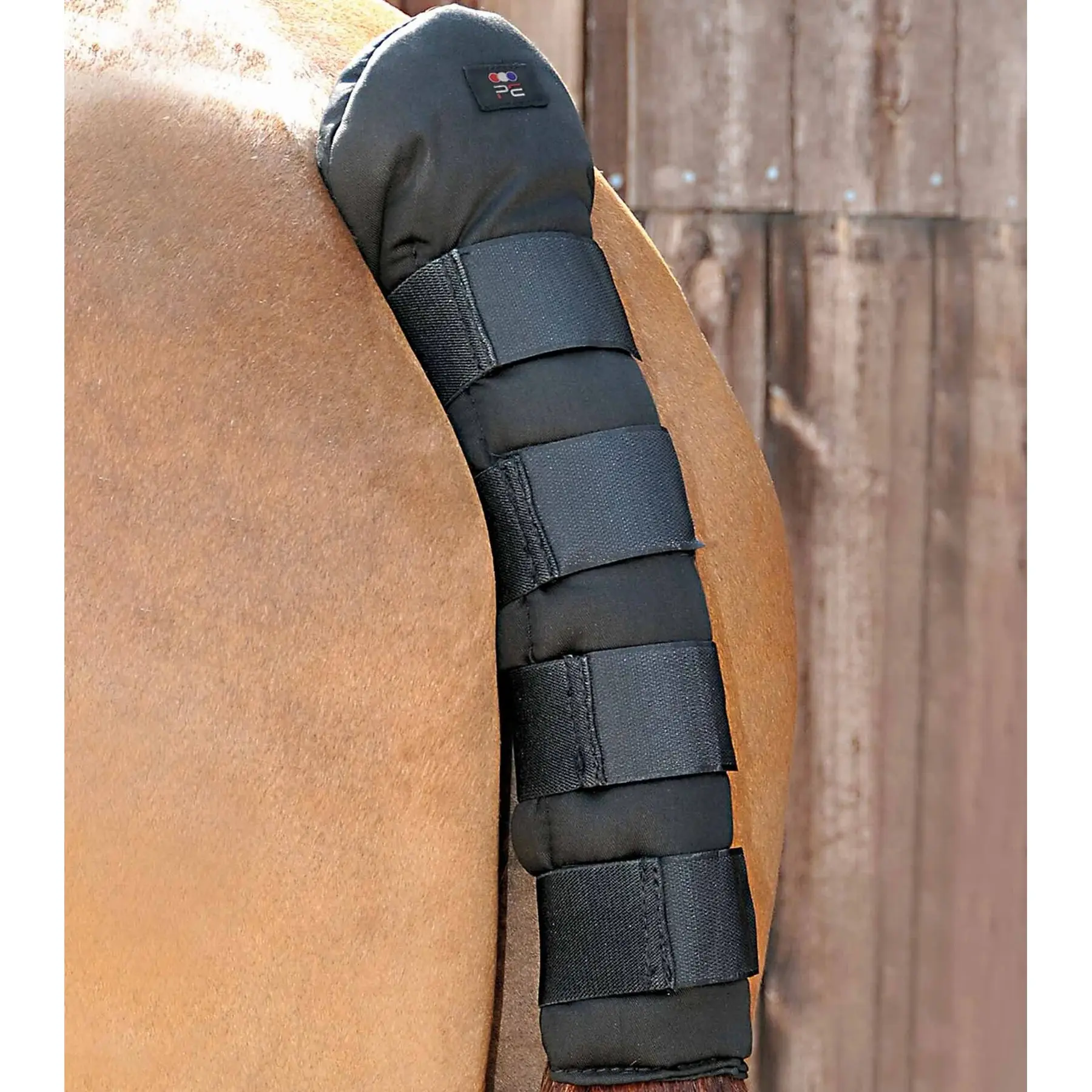 Paracoda per cavalli Premier Equine Stay-Up