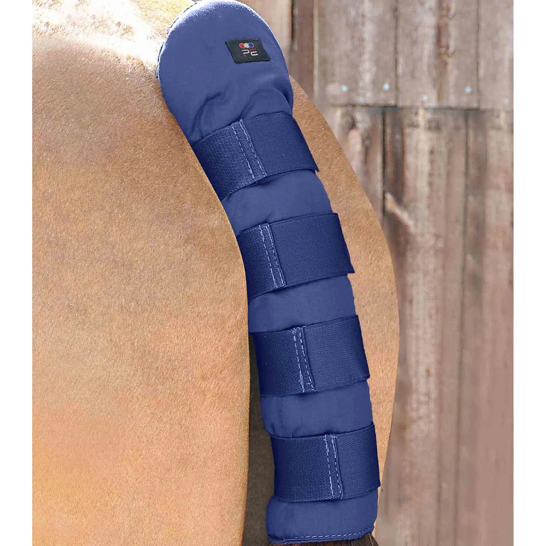 Tail Guard Premier Equine Stay-Up