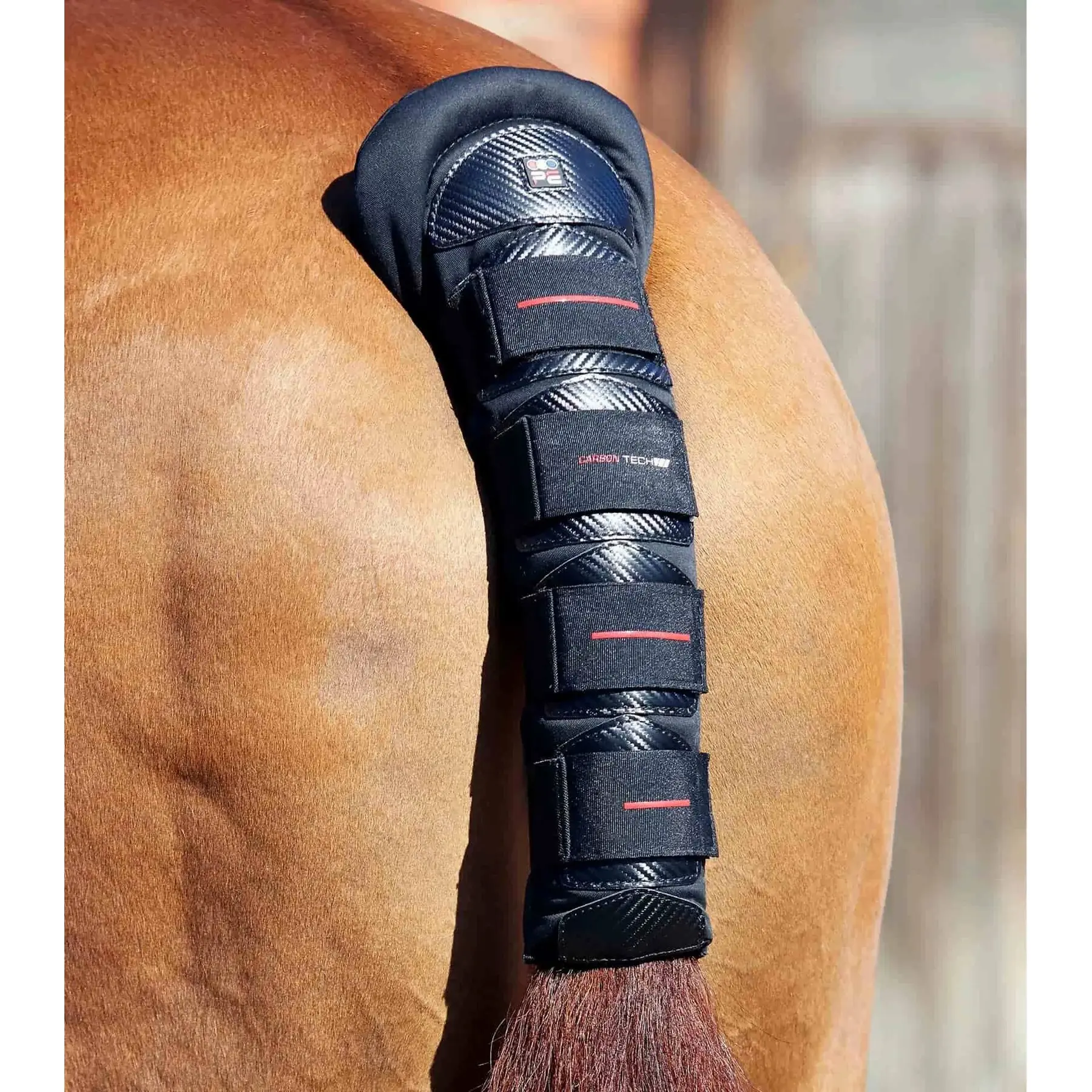 Paracoda antiscivolo per cavalli Premier Equine Carbon Tech
